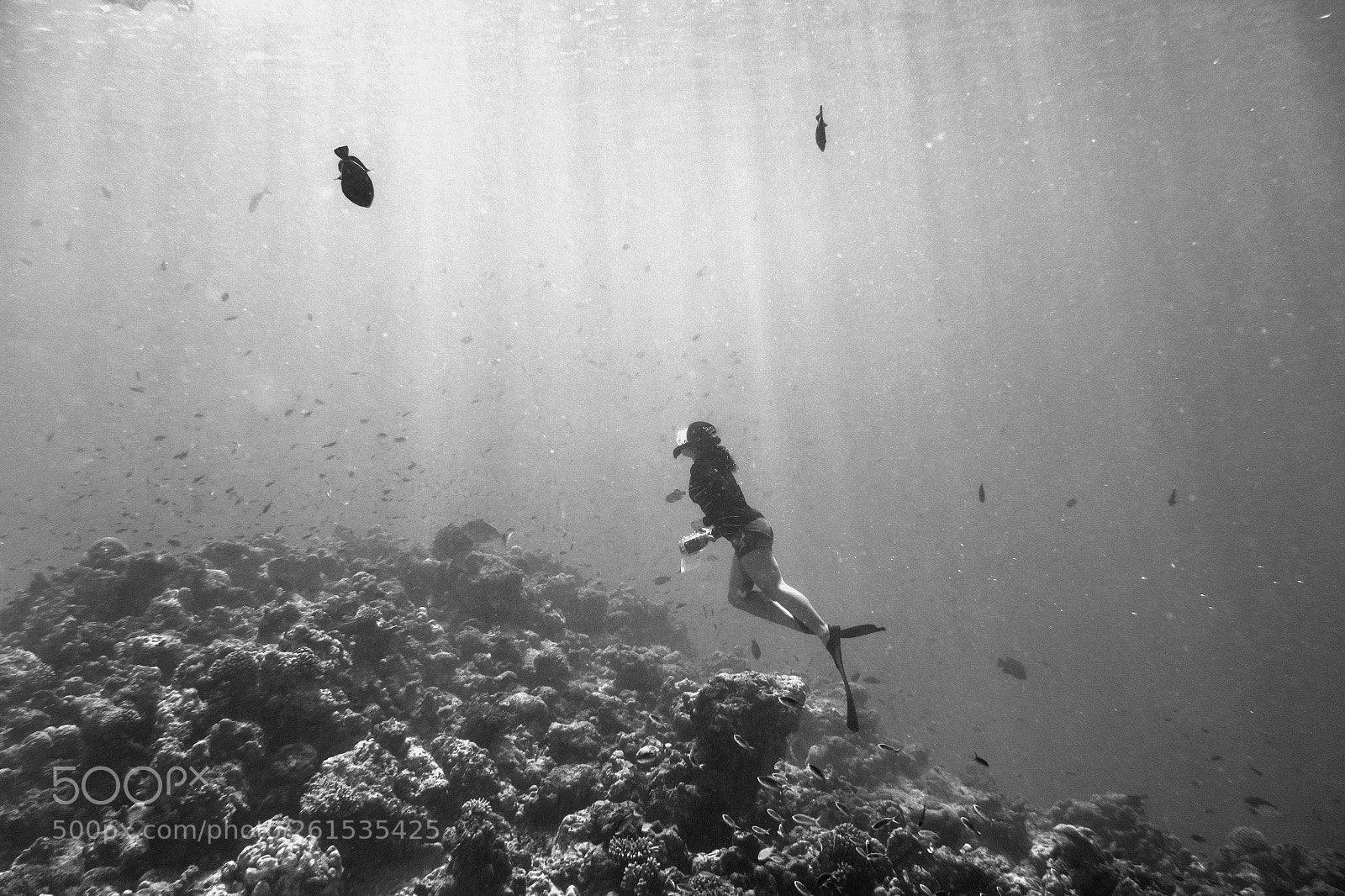 Sony Cyber-shot DSC-RX100 II sample photo. Diving free photography