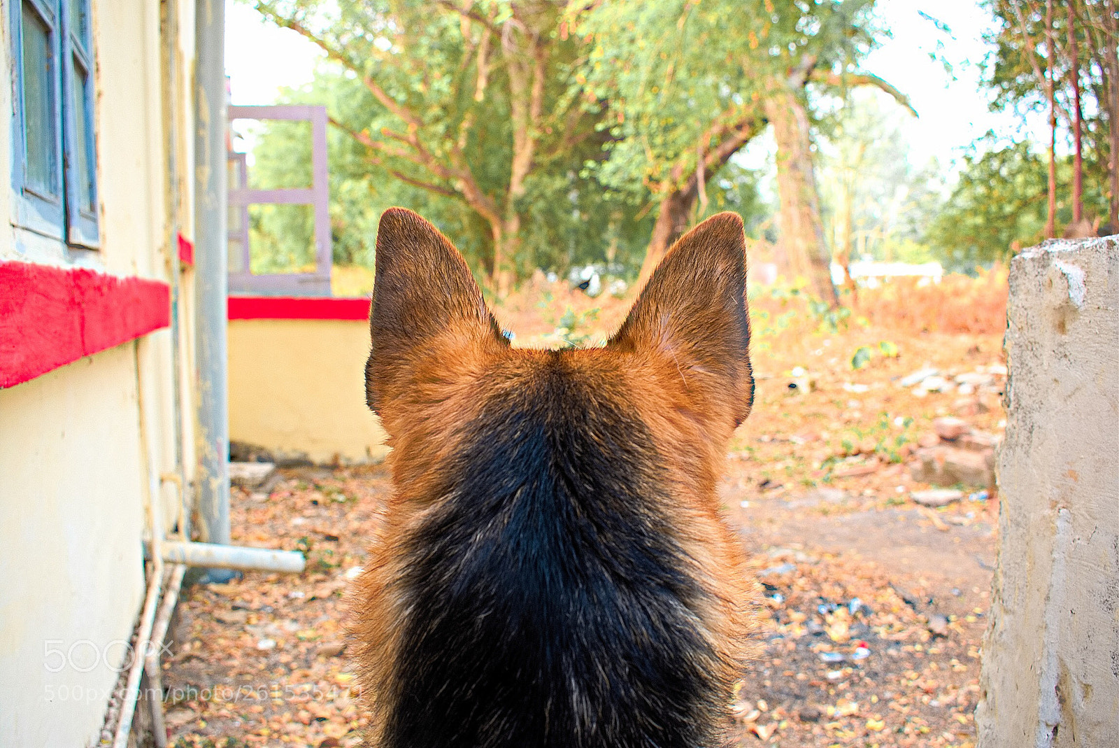 Nikon D3400 sample photo. Hector  photography