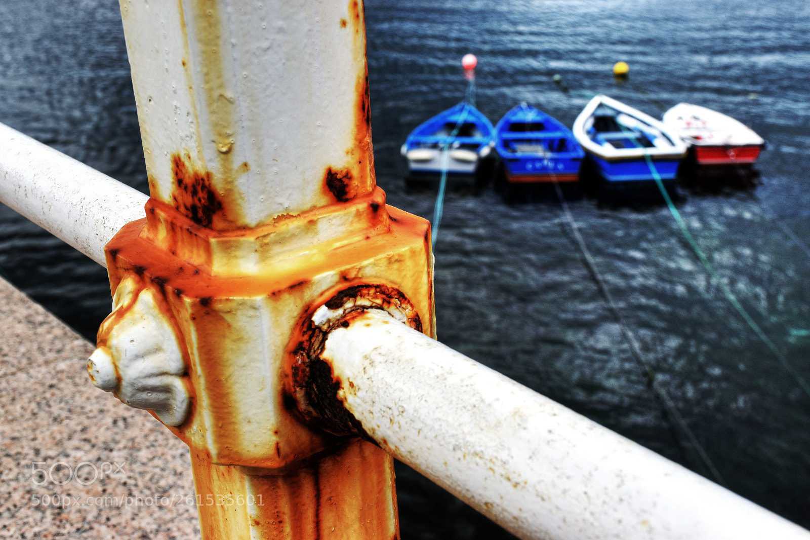 Nikon D5500 sample photo. Oxido photography