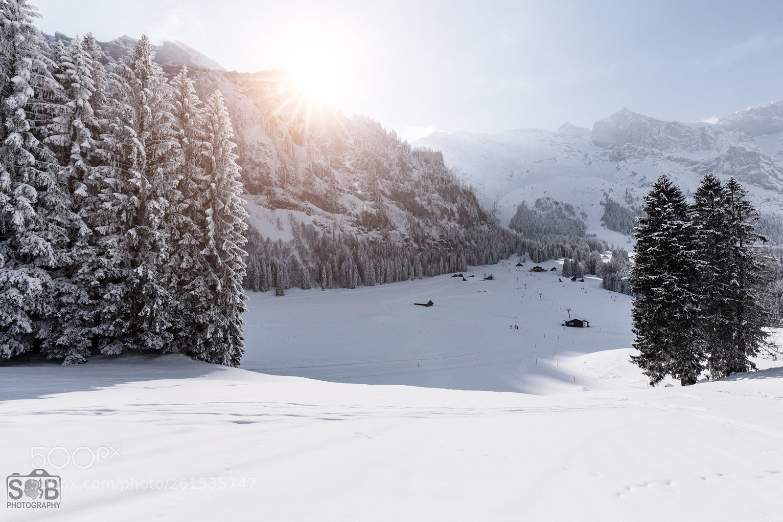 Nikon D810 sample photo. Engelberg winter landscape 44 photography