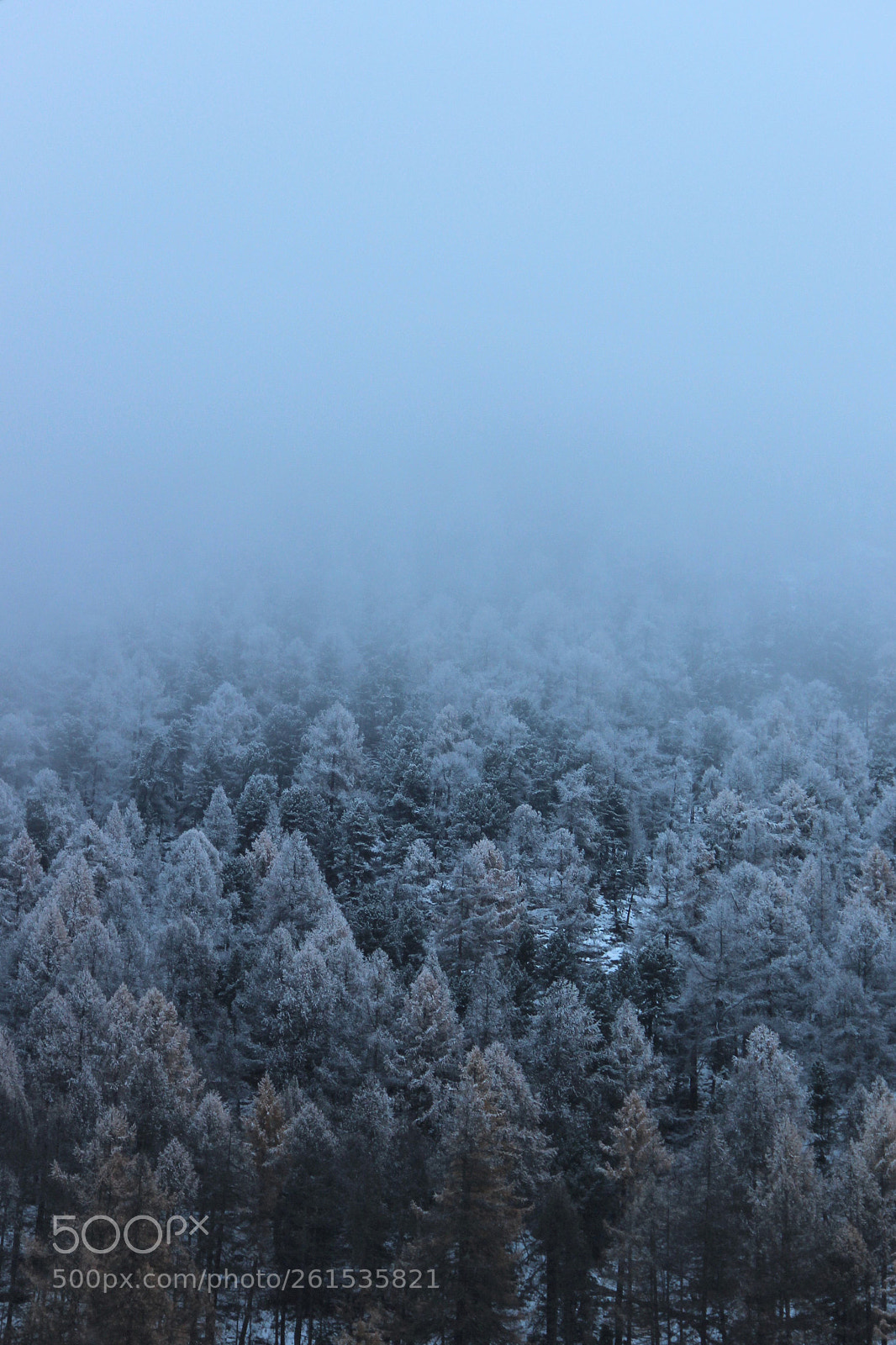 Canon EOS 600D (Rebel EOS T3i / EOS Kiss X5) sample photo. Wilderness photography