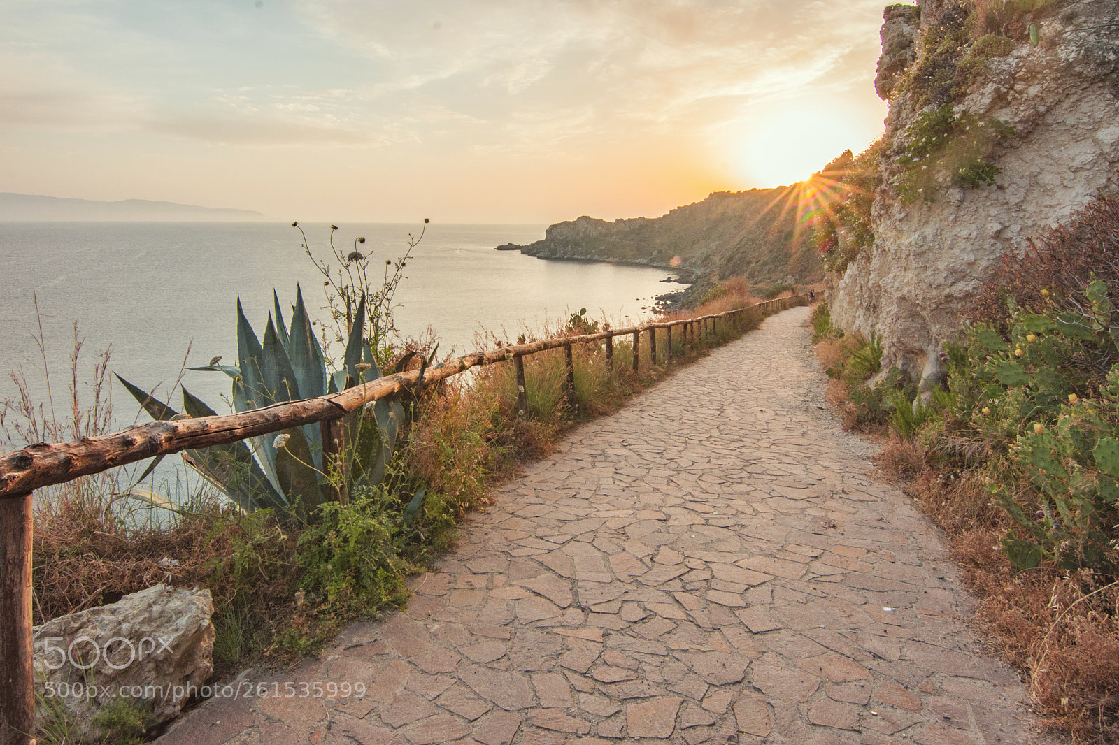 Nikon D7200 sample photo. Walking towards the sunset photography