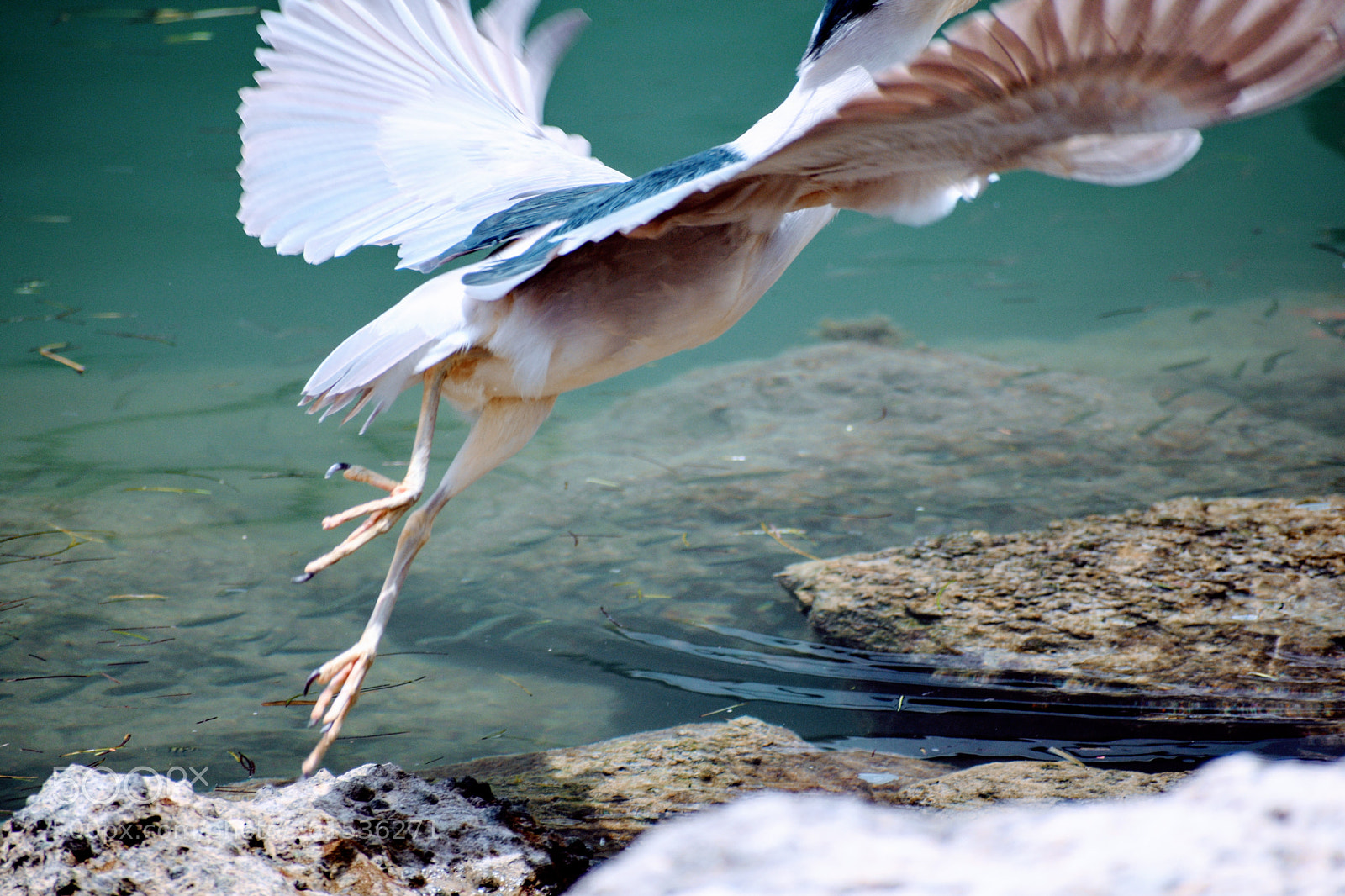 Nikon D3400 sample photo. Taking off photography