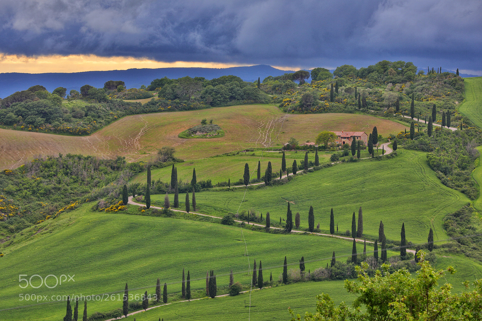 Canon EOS 5D Mark IV sample photo. Cypress spring photography