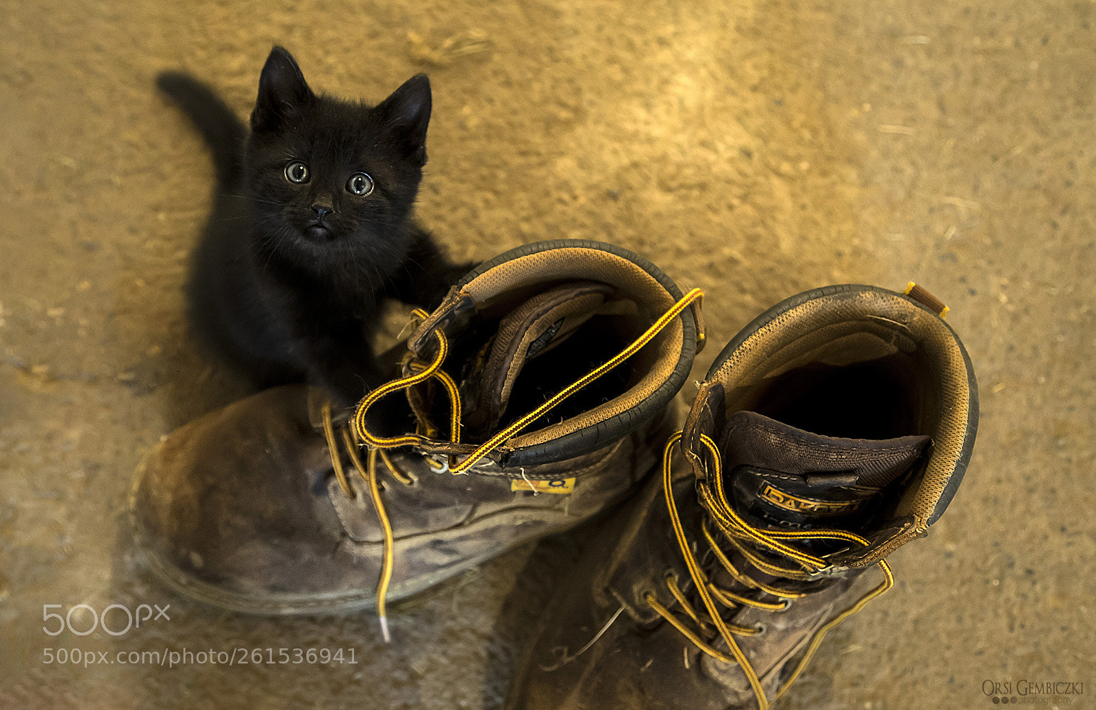 Canon EOS 6D sample photo. Barn life photography