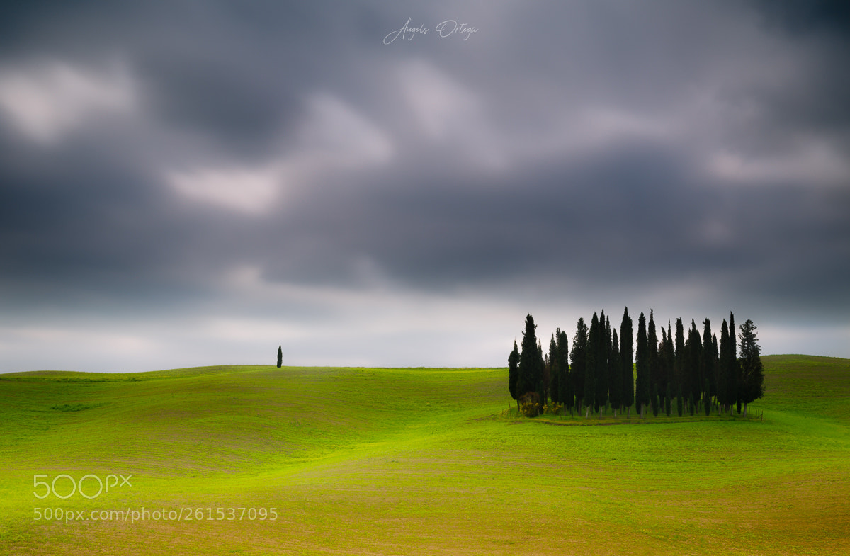 Canon EOS 6D sample photo. Tuscany in love photography