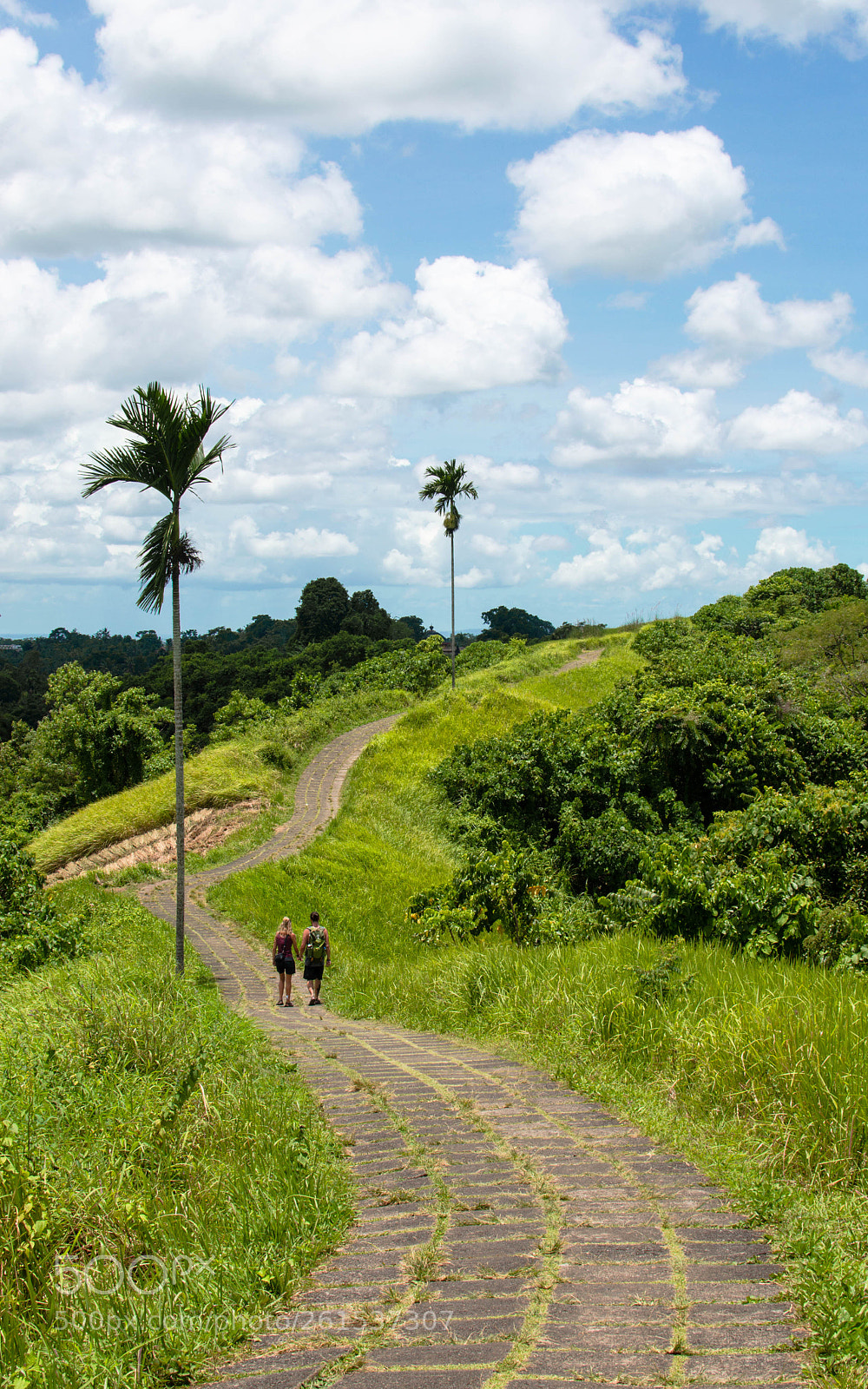 Nikon D5100 sample photo. Campuhan ridge walk photography