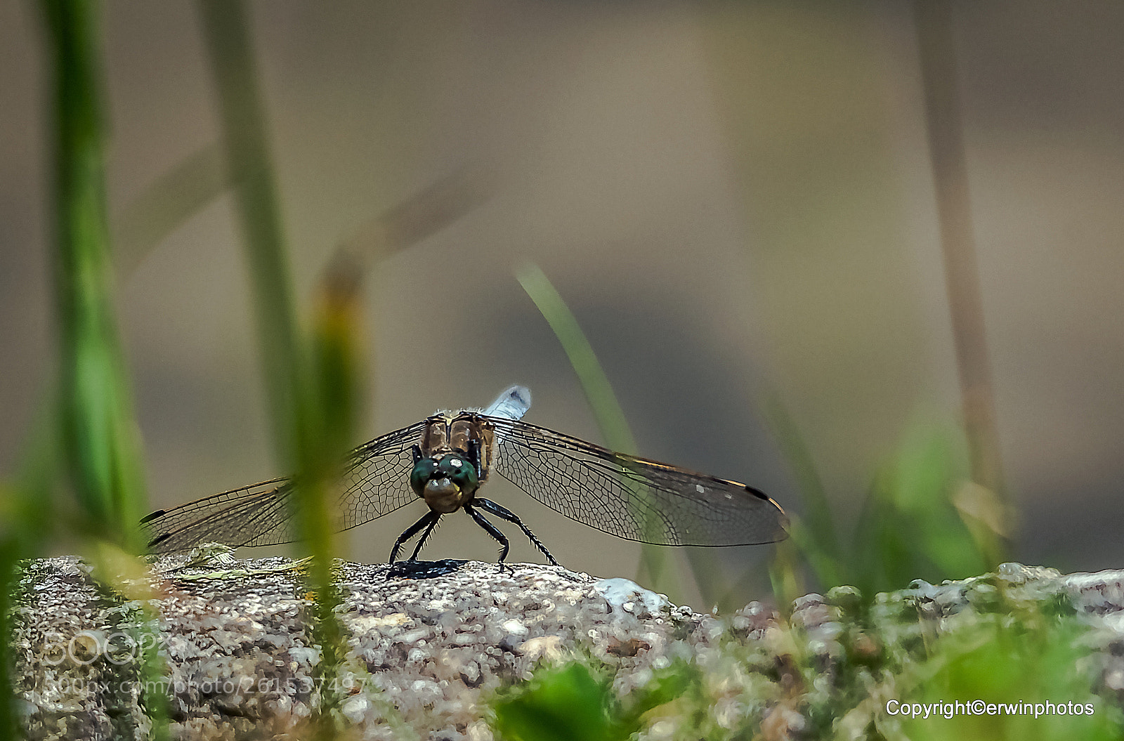 Nikon D750 sample photo. Zwischenhalt photography