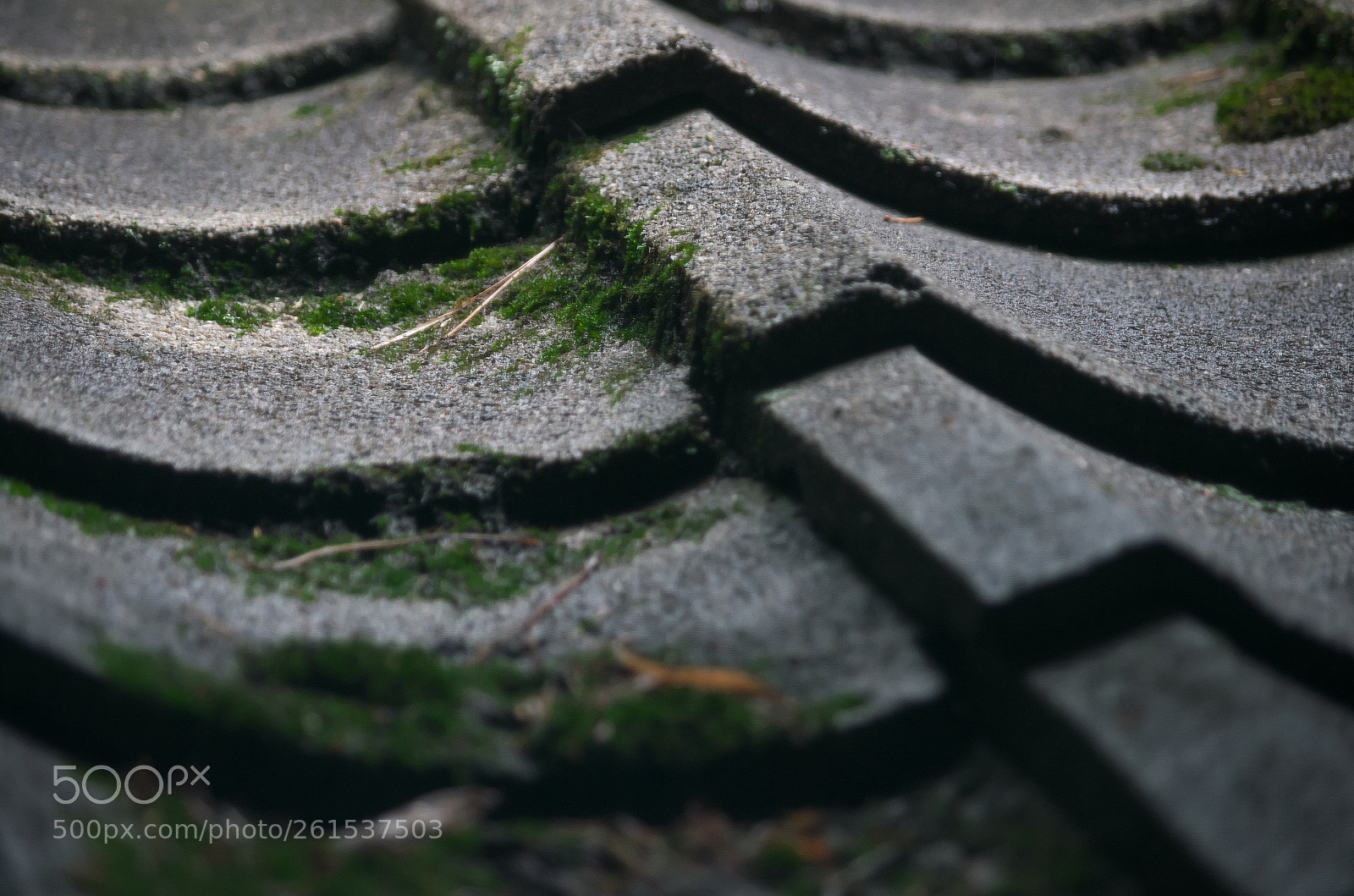 Pentax K-50 sample photo. Japanese tile and moss photography
