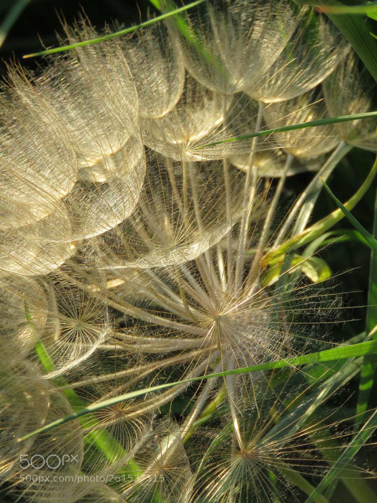 Canon PowerShot SX60 HS sample photo. Ready for the trip photography