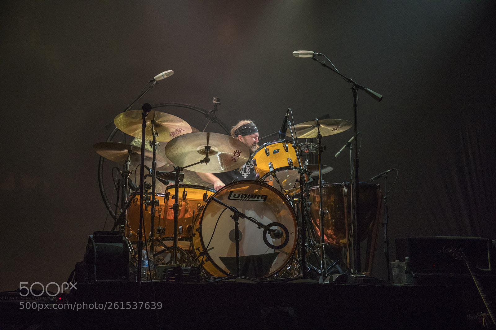 Canon EOS 5D Mark IV sample photo. Led zepplin 2 photography