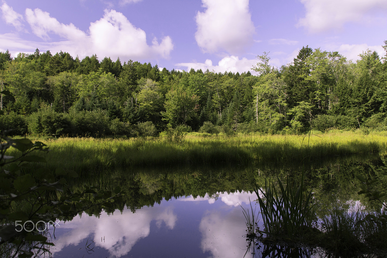 Canon EOS 650D (EOS Rebel T4i / EOS Kiss X6i) sample photo. Pond photography