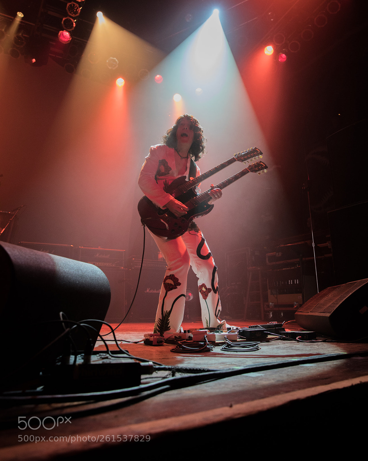 Canon EOS 5D Mark IV sample photo. Led zepplin 2 photography