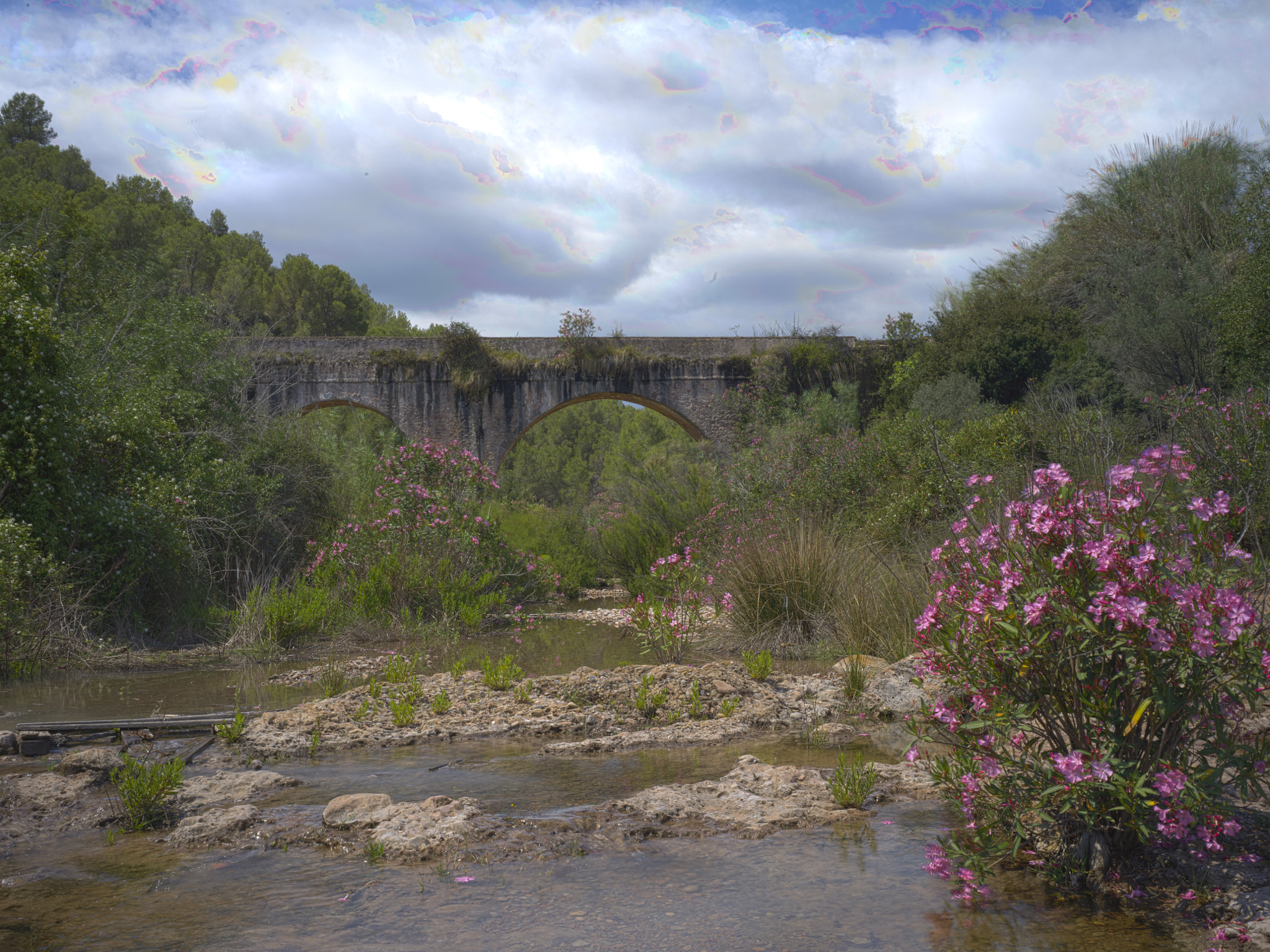 Hasselblad X1D-50c sample photo. El pont dels arcs photography