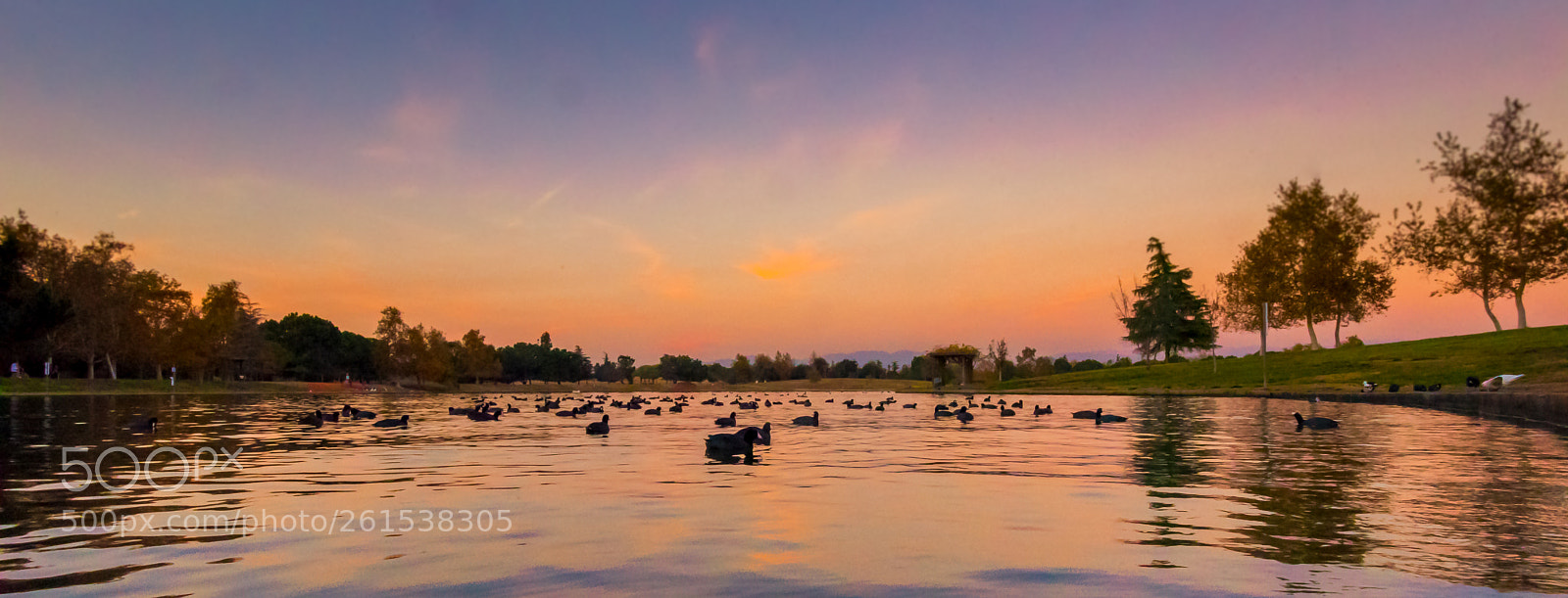 Nikon D750 sample photo. Sunset on lake balboa photography