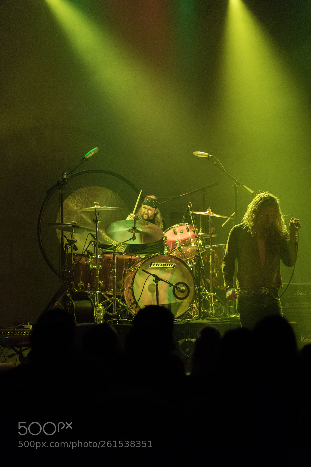 Canon EOS 5D Mark IV sample photo. Led zepplin 2 photography