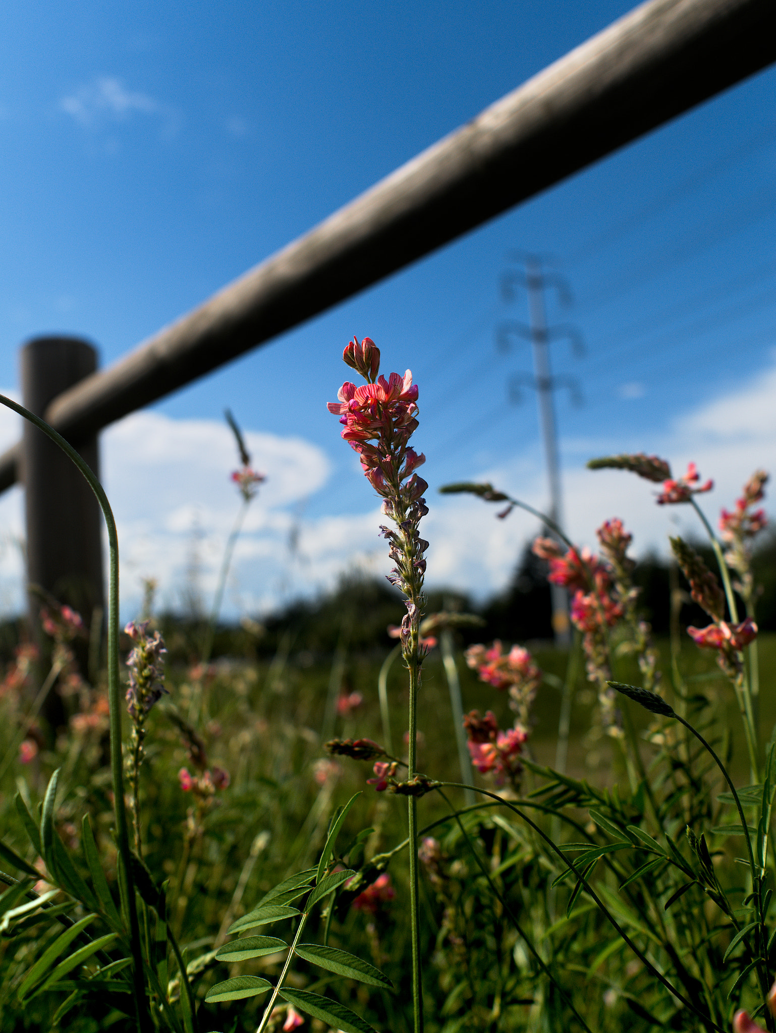 Panasonic Lumix DC-GX9 sample photo. Imitation photography