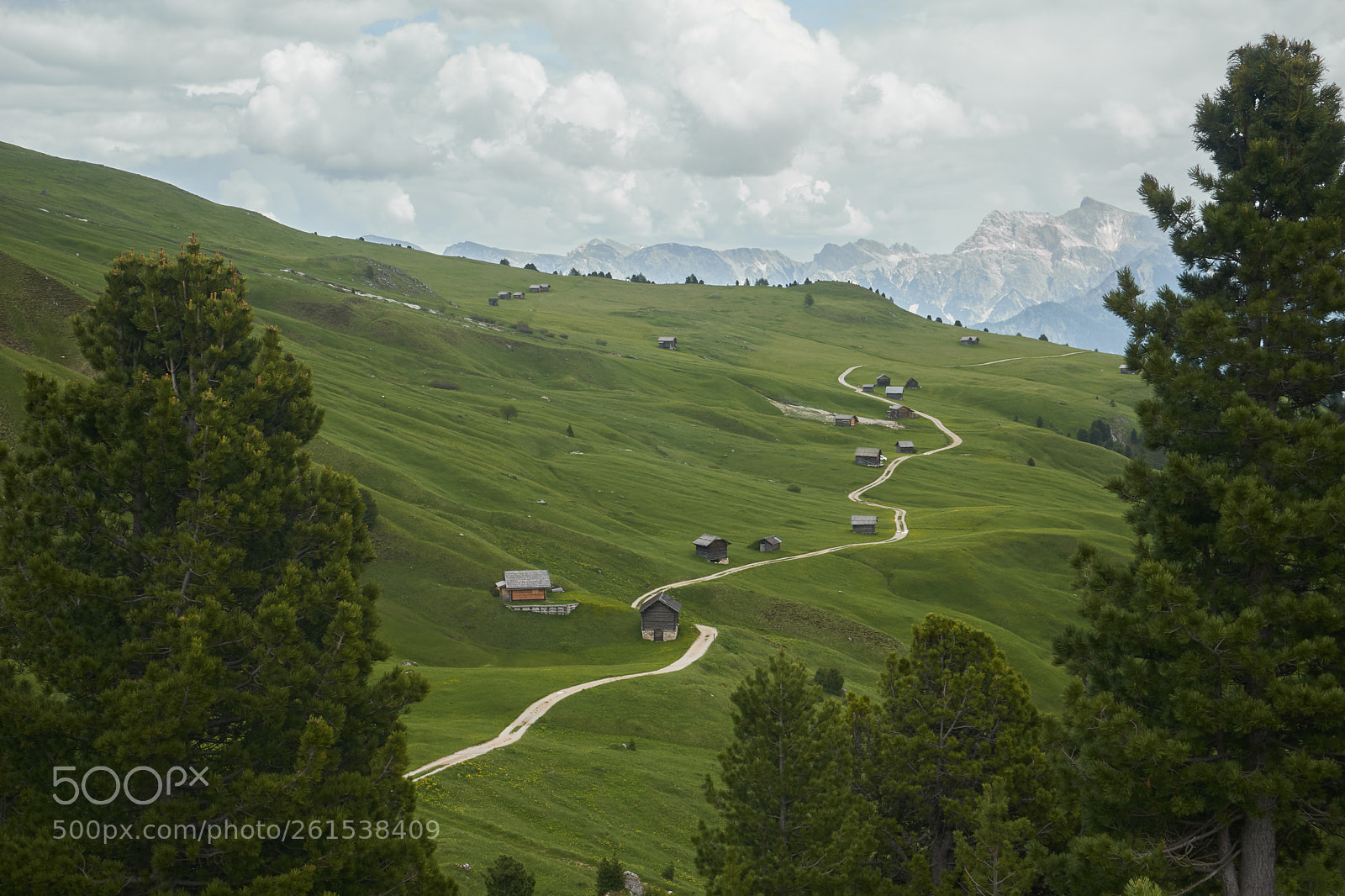 Sony a6000 sample photo. Green valley photography
