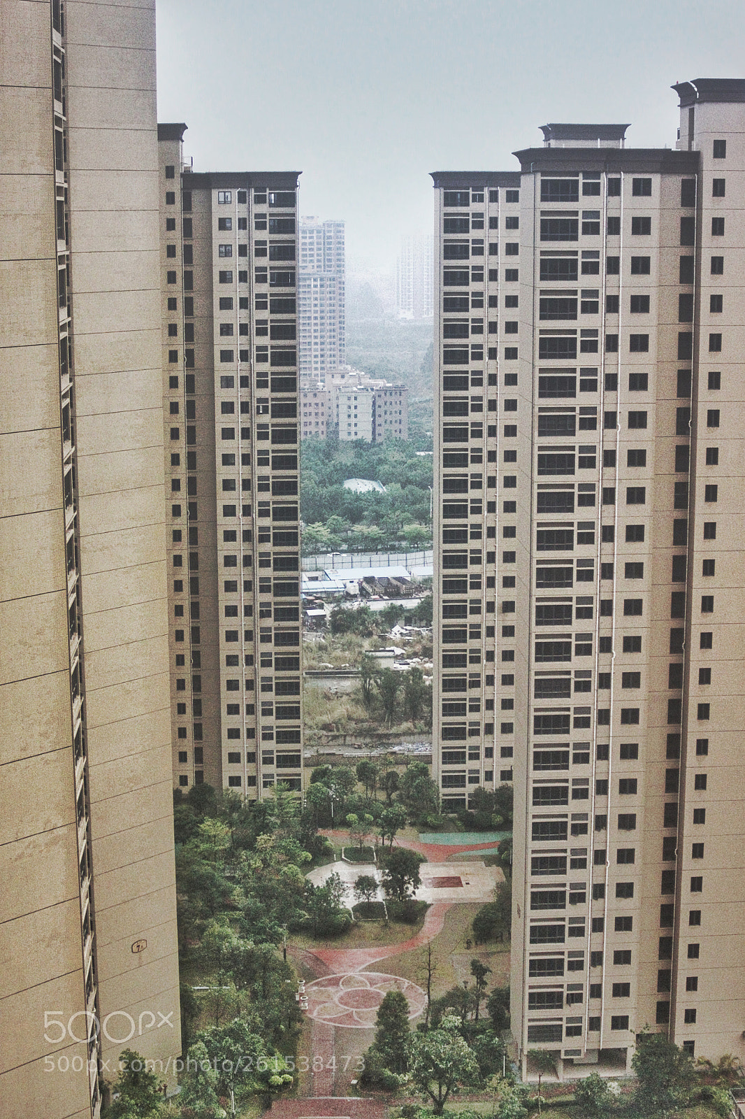 Canon EOS 500D (EOS Rebel T1i / EOS Kiss X3) sample photo. The view from my photography