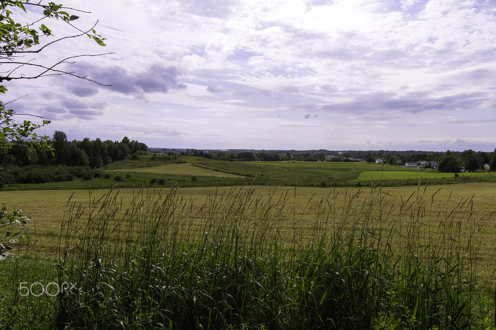 Canon EOS 650D (EOS Rebel T4i / EOS Kiss X6i) sample photo. Summer day field photography