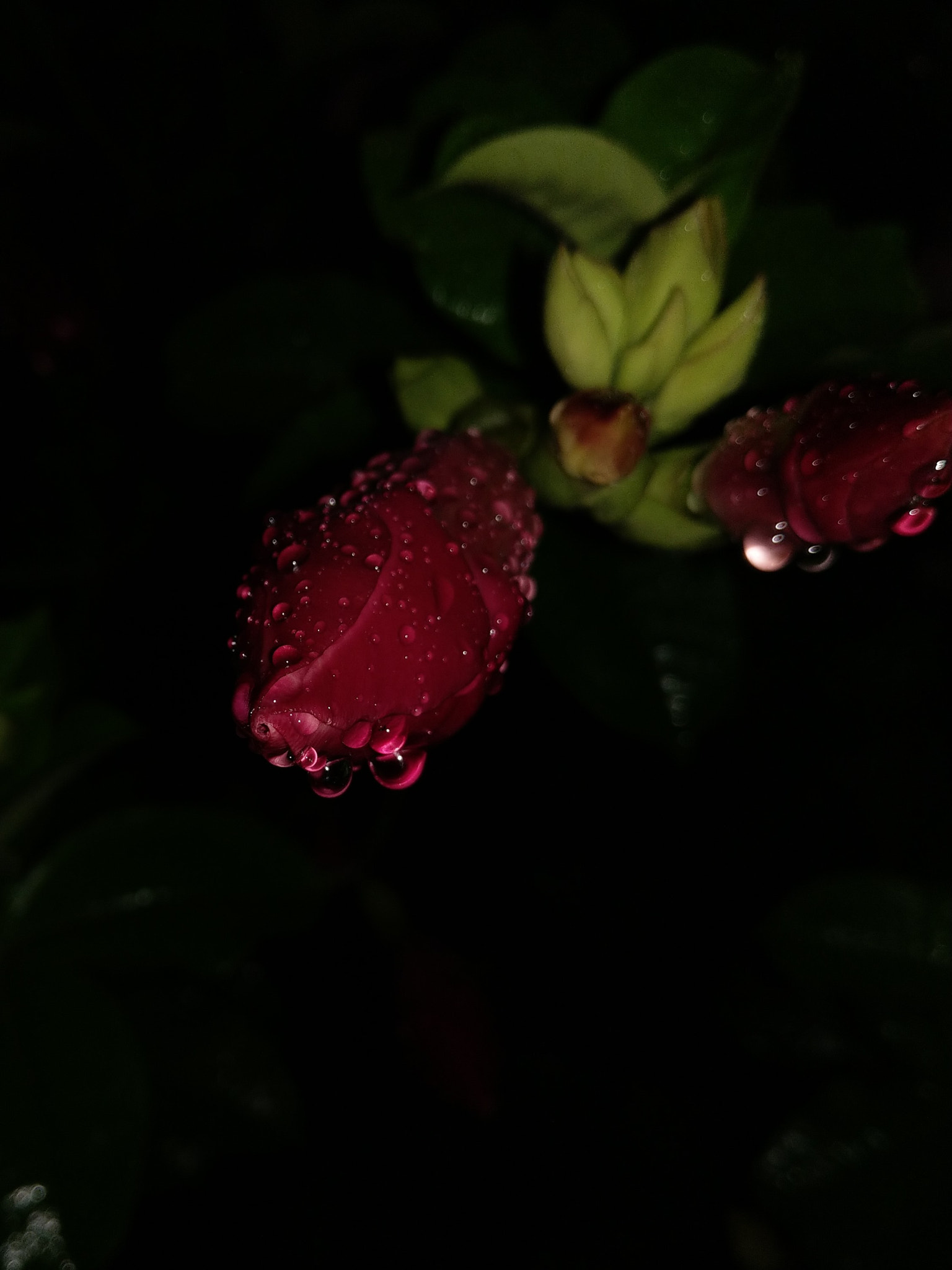 HTC U11 sample photo