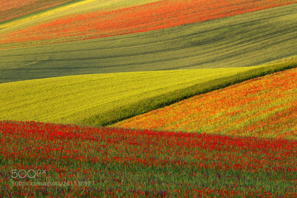 Canon EOS 6D sample photo. Colorful moravian tuscany photography