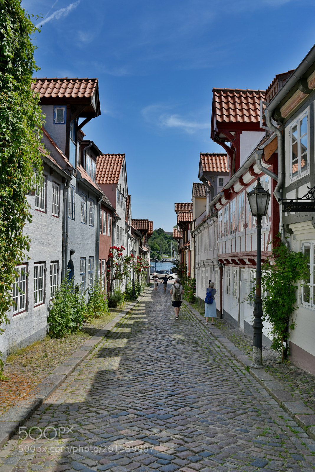Nikon D750 sample photo. Flensborg photography