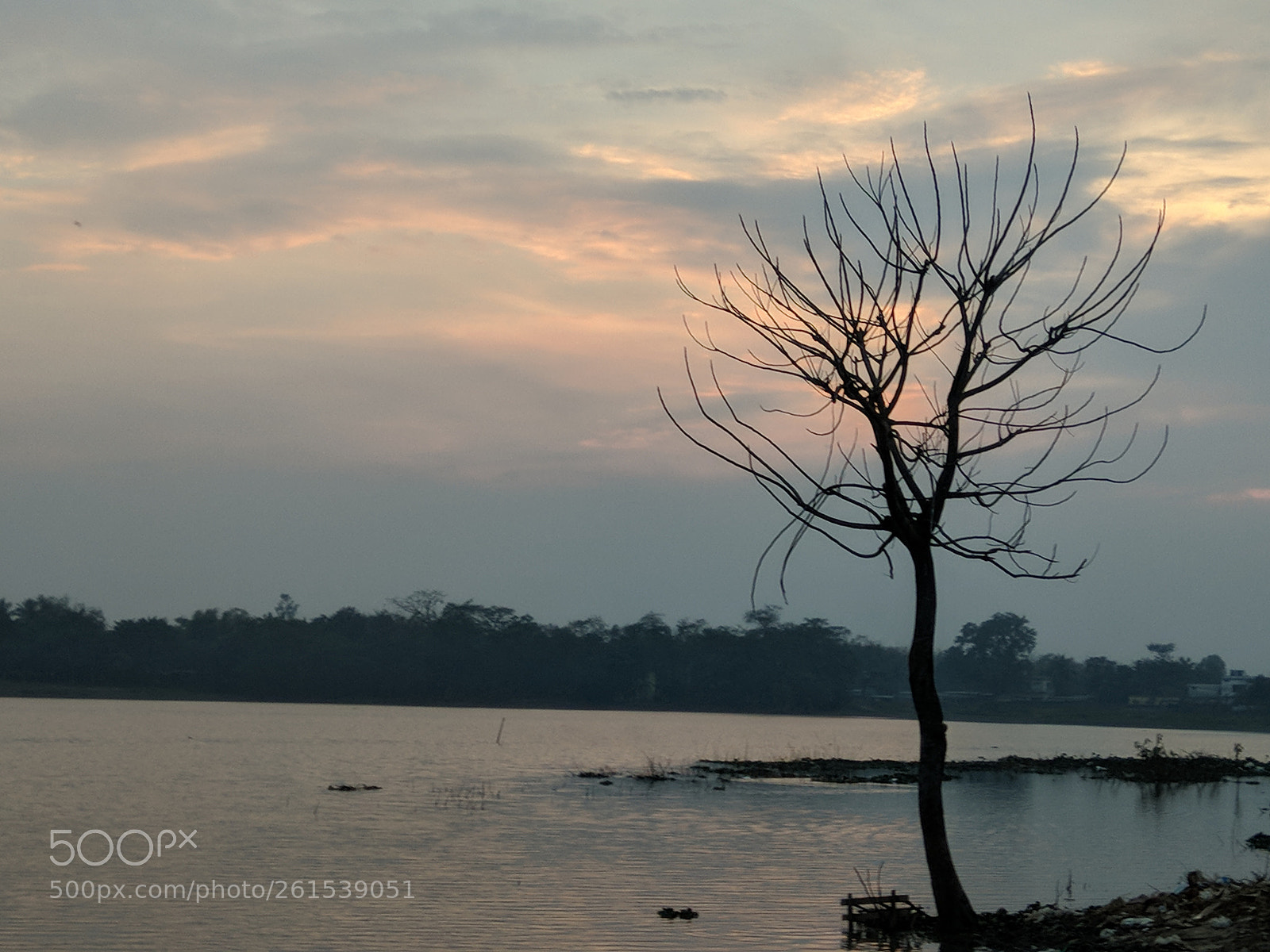 Xiaomi Redmi Note 4 sample photo. Untitled photography