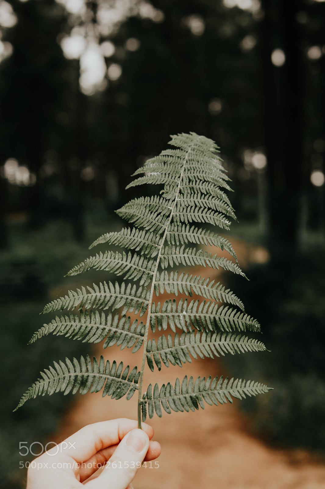 Sony a6000 sample photo. Life photography