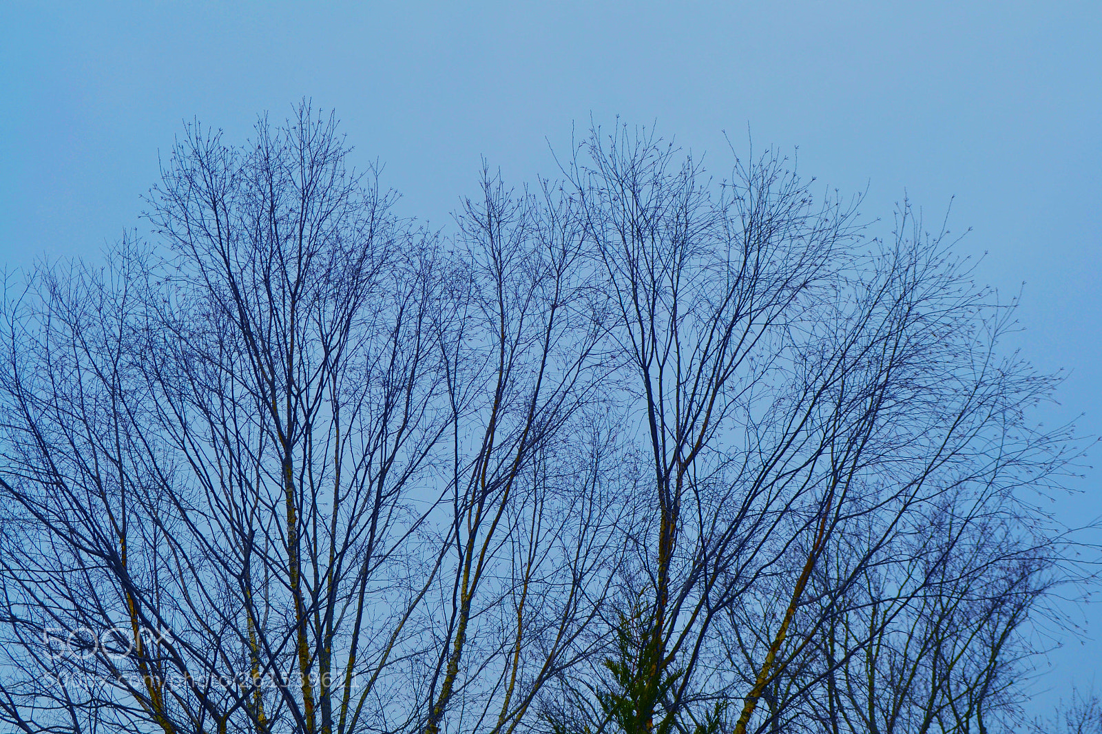 Nikon D3100 sample photo. () photography