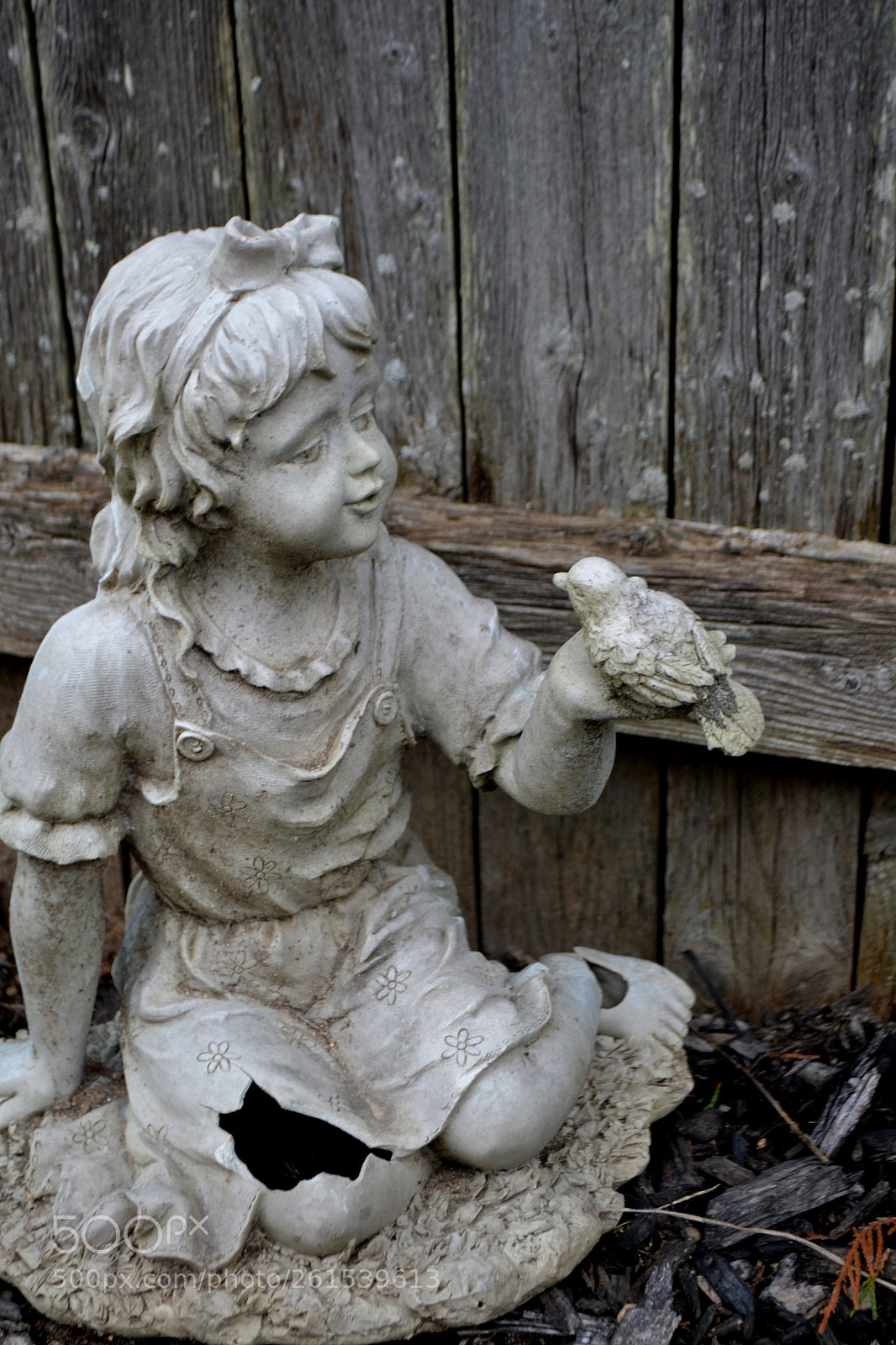 Nikon D3100 sample photo. () photography