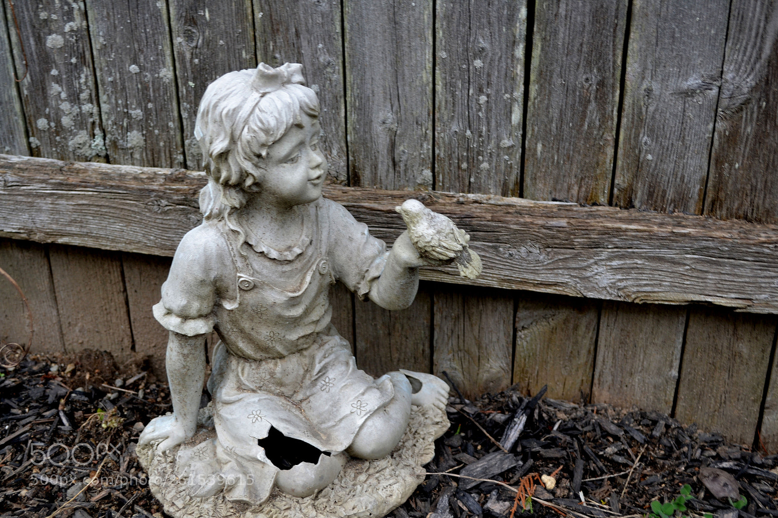 Nikon D3100 sample photo. () photography