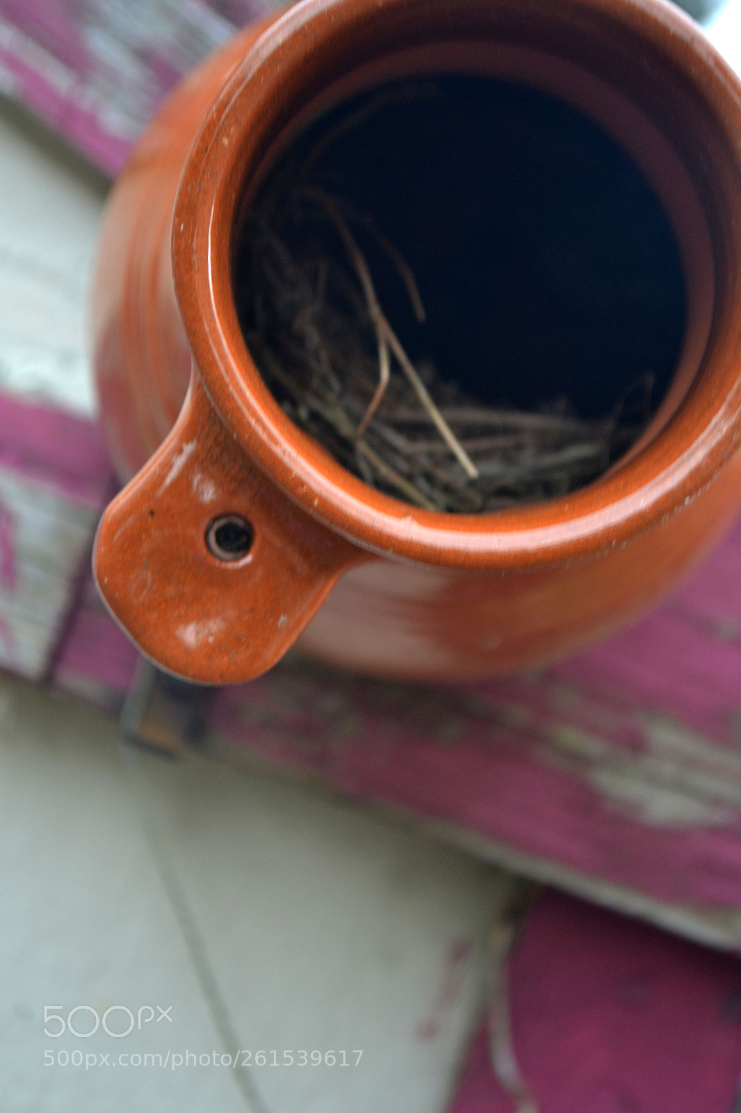 Nikon D3100 sample photo. () photography