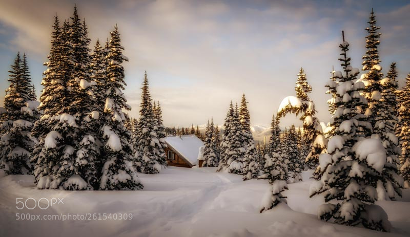 Olympus OM-D E-M10 sample photo. Winter dreams photography