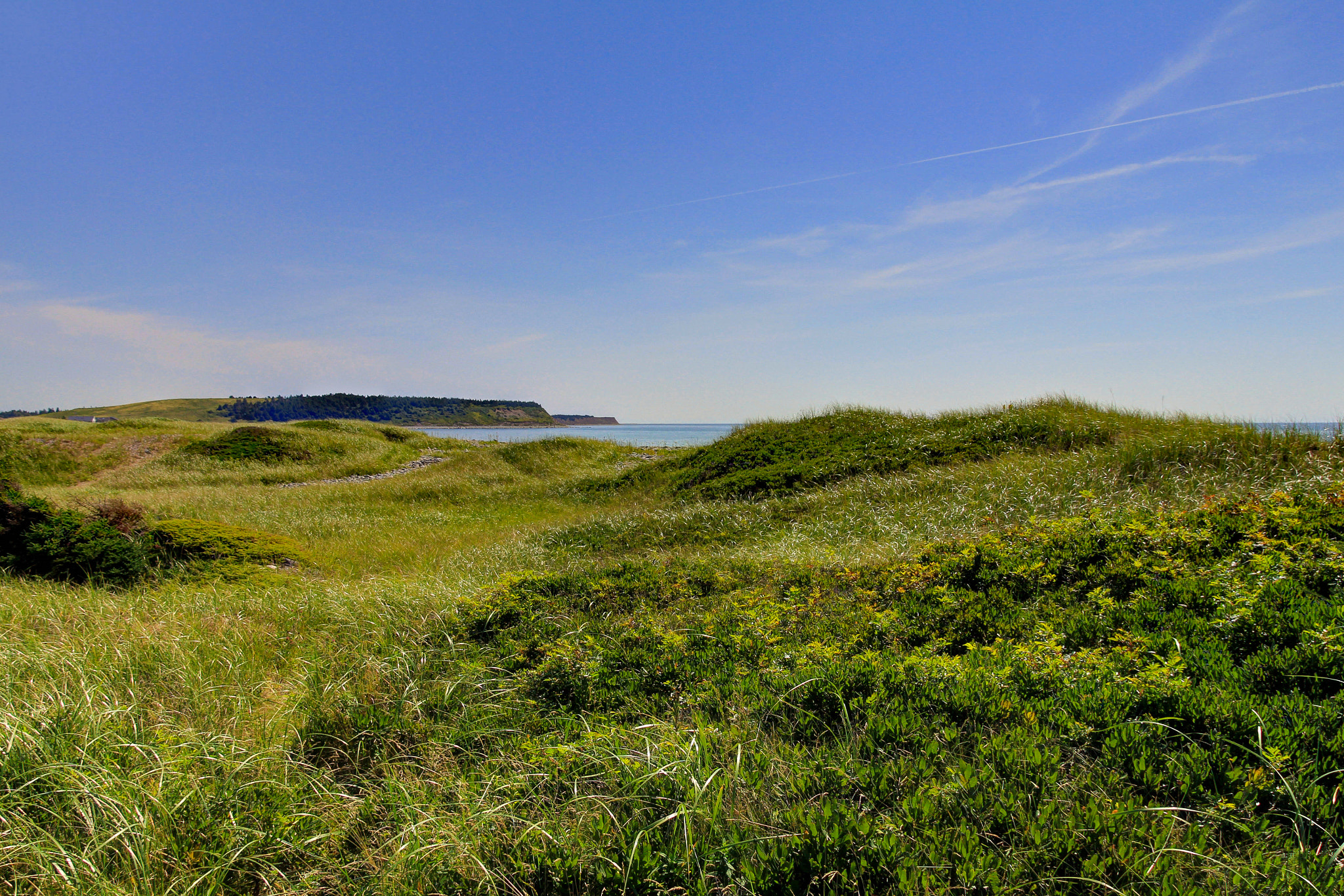 Canon EOS 650D (EOS Rebel T4i / EOS Kiss X6i) sample photo. Grass landscape photography