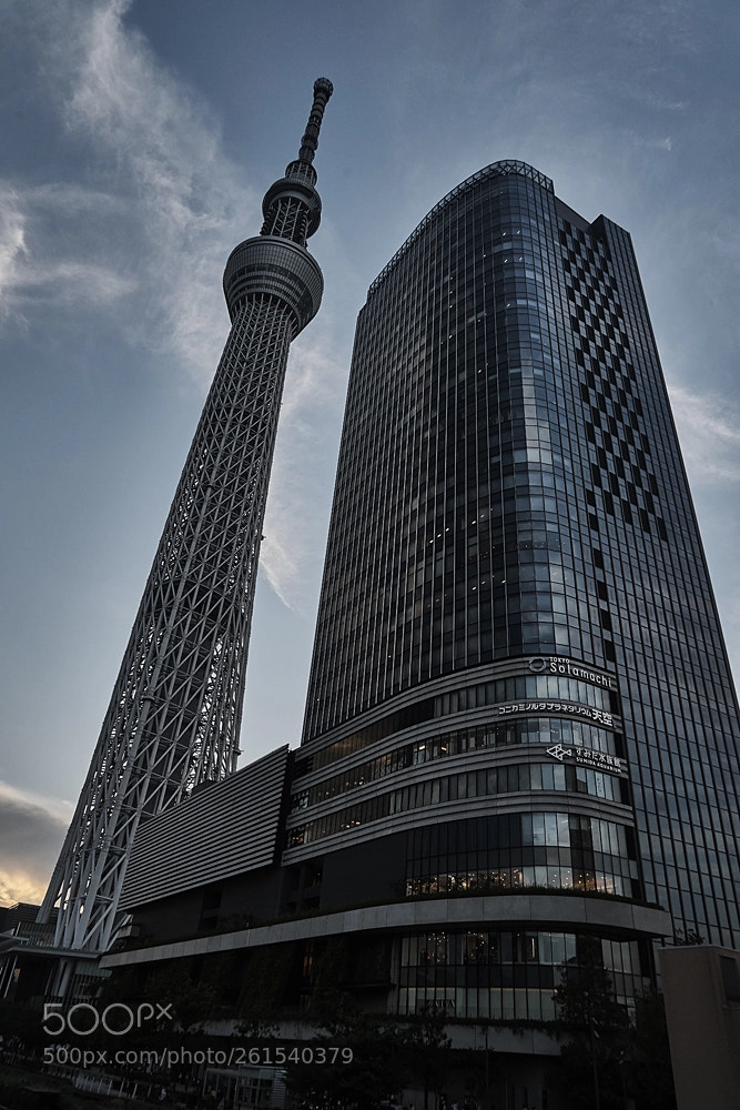 Sony a7 II sample photo. 634m photography