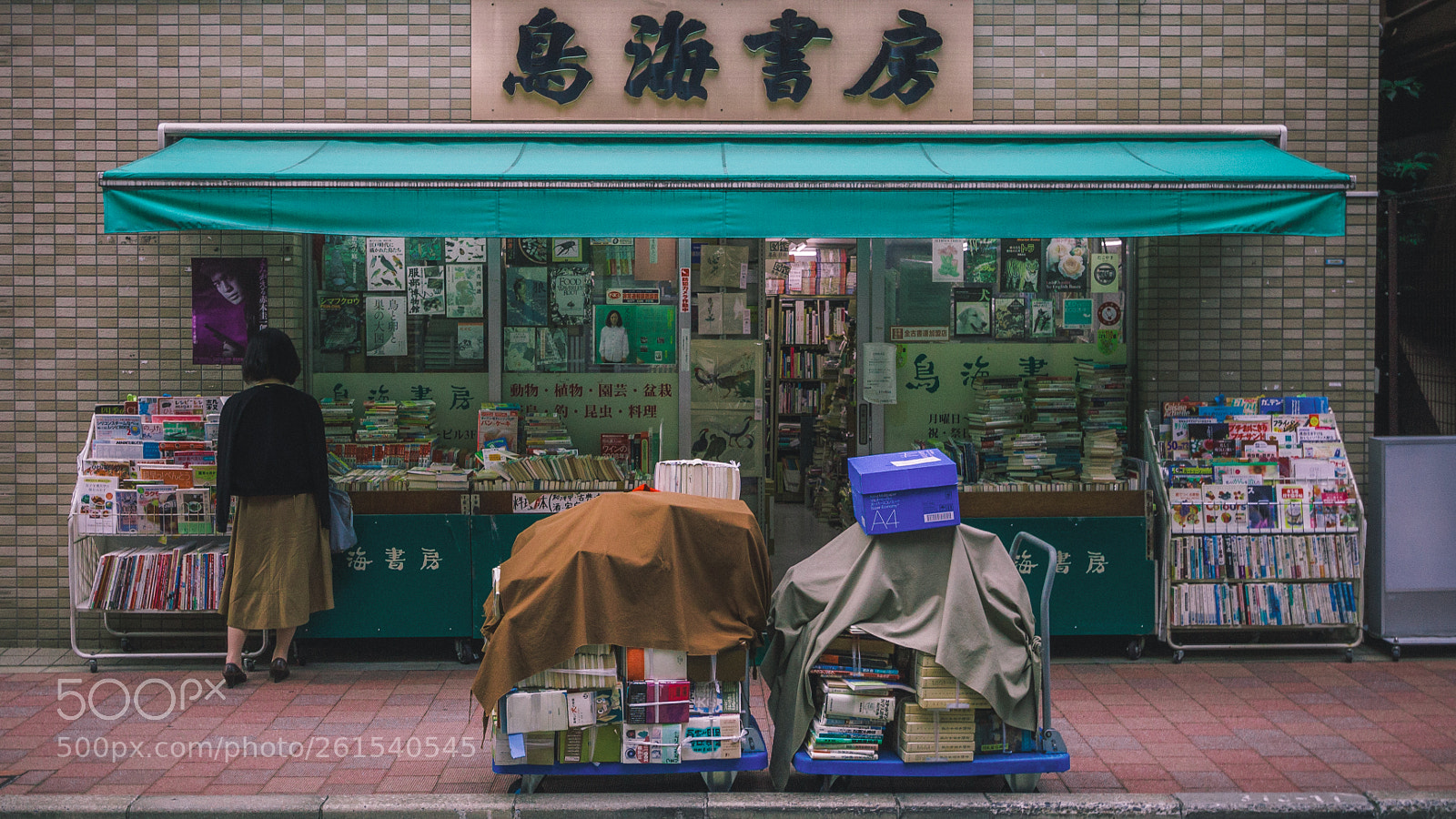 Canon EOS 550D (EOS Rebel T2i / EOS Kiss X4) sample photo. // the stories underneath photography