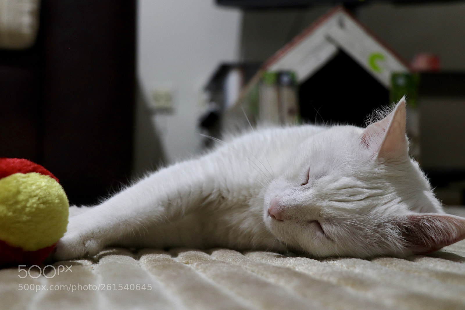 Canon EOS 77D (EOS 9000D / EOS 770D) sample photo. Untitled photography