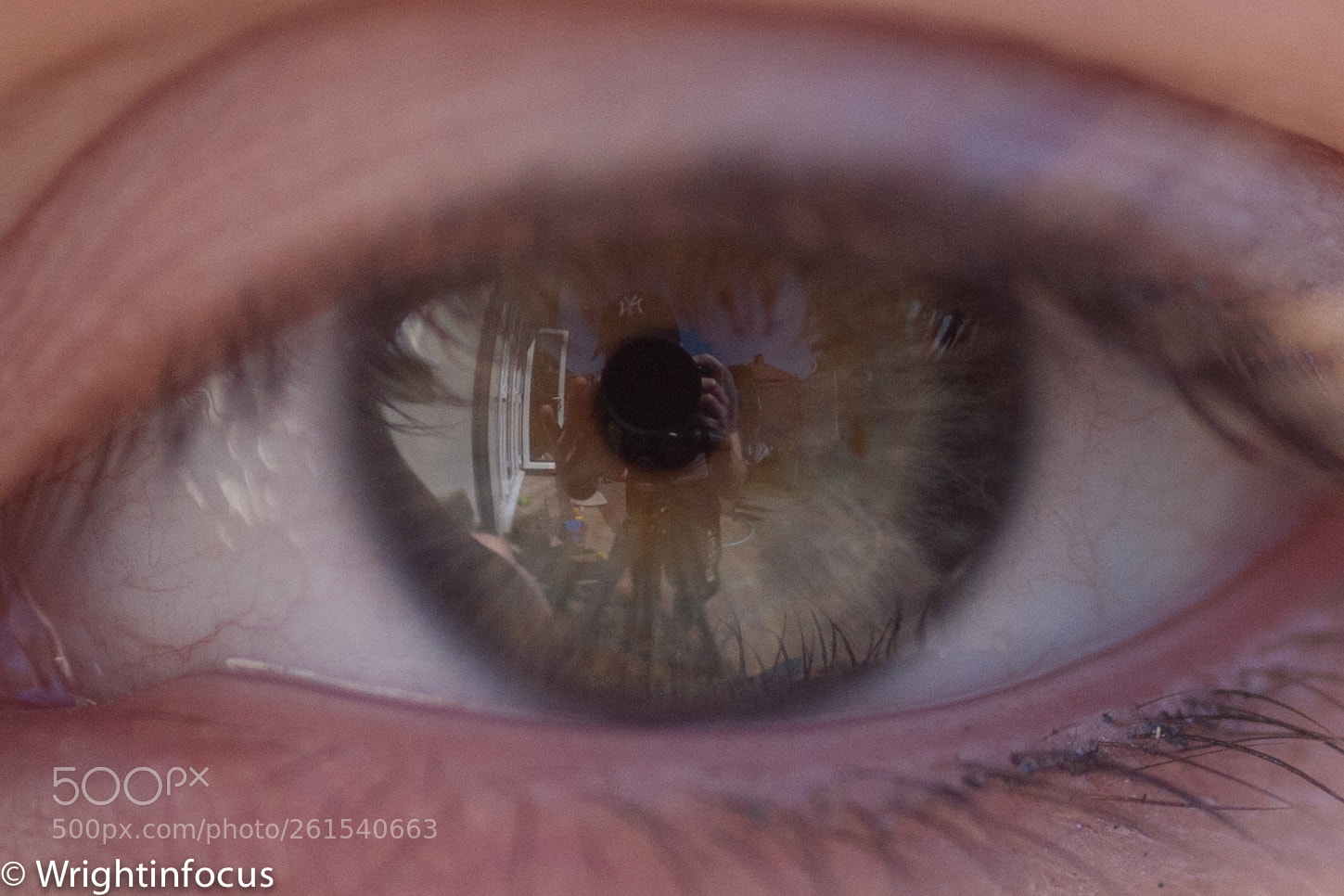 Canon EOS 5D sample photo. Eye of the beholder photography