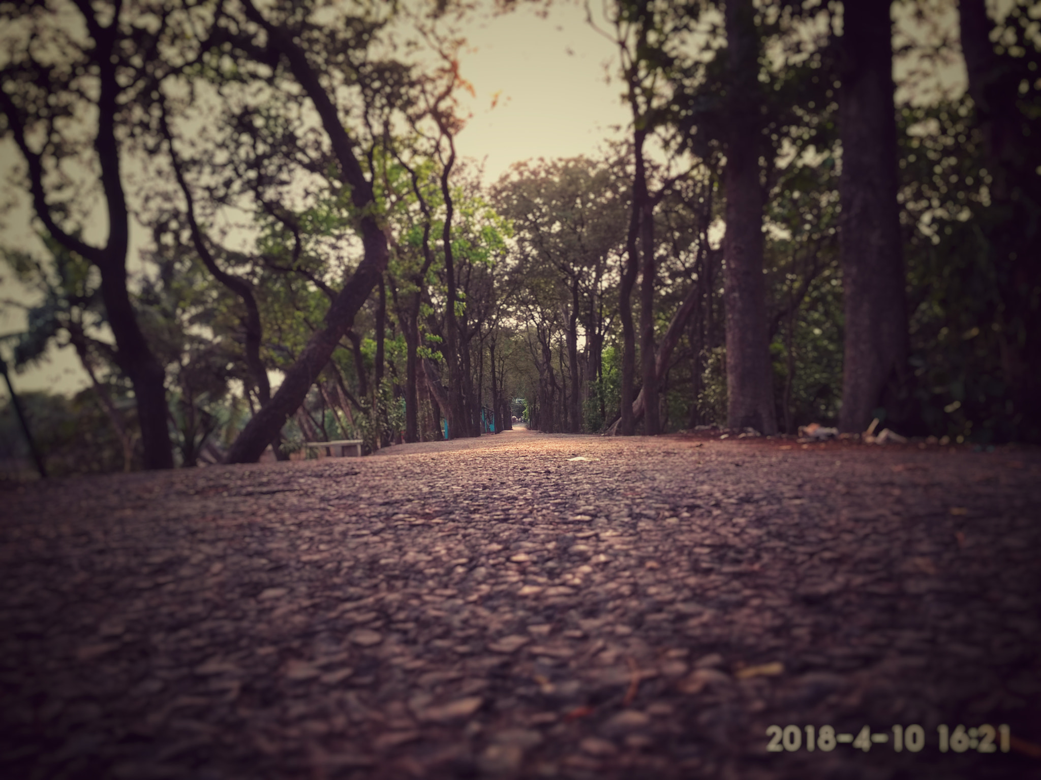 Xiaomi Redmi 4 Pro sample photo