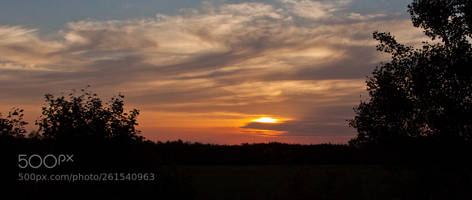 Canon EOS 50D sample photo. Friday evening photography
