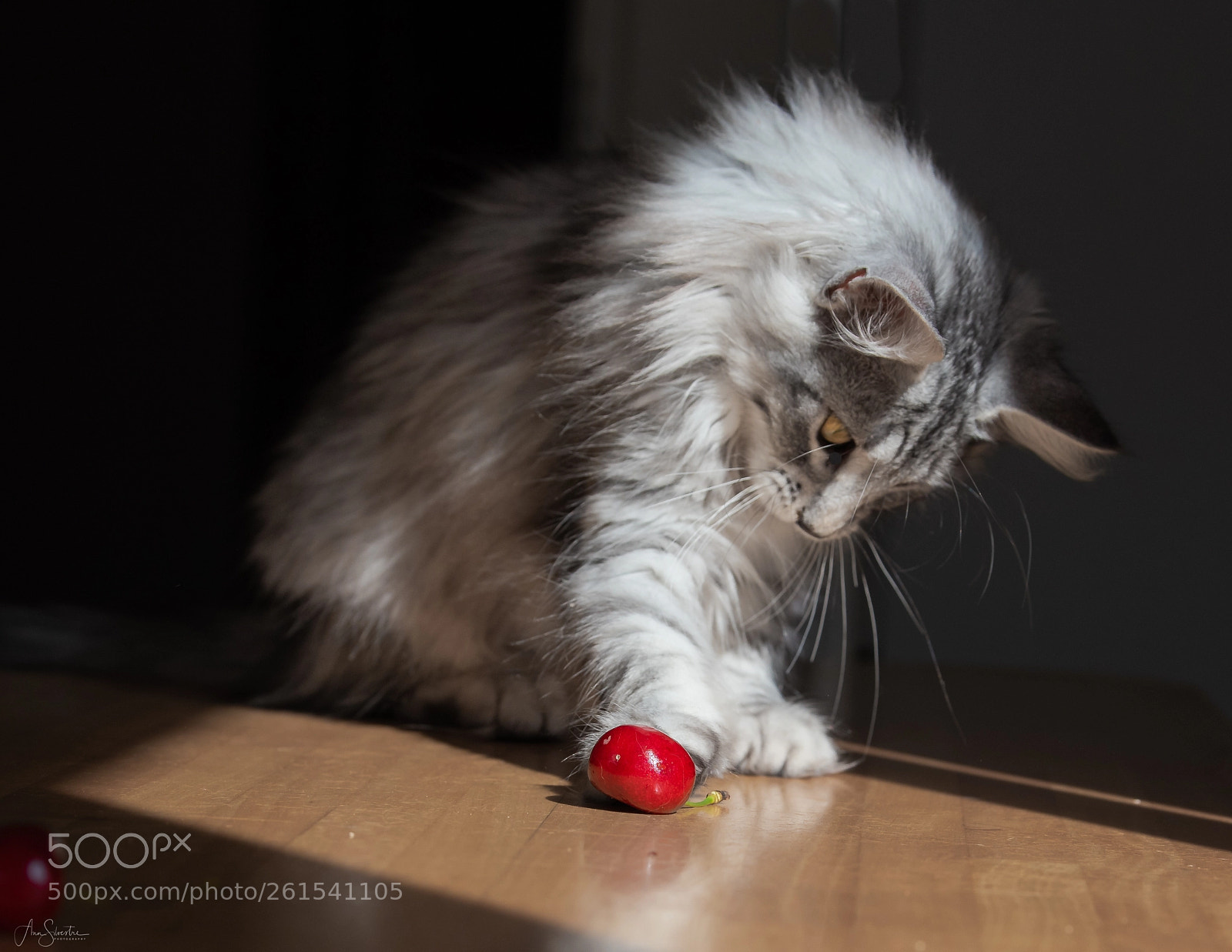 Nikon D750 sample photo. Le temps des cerises photography