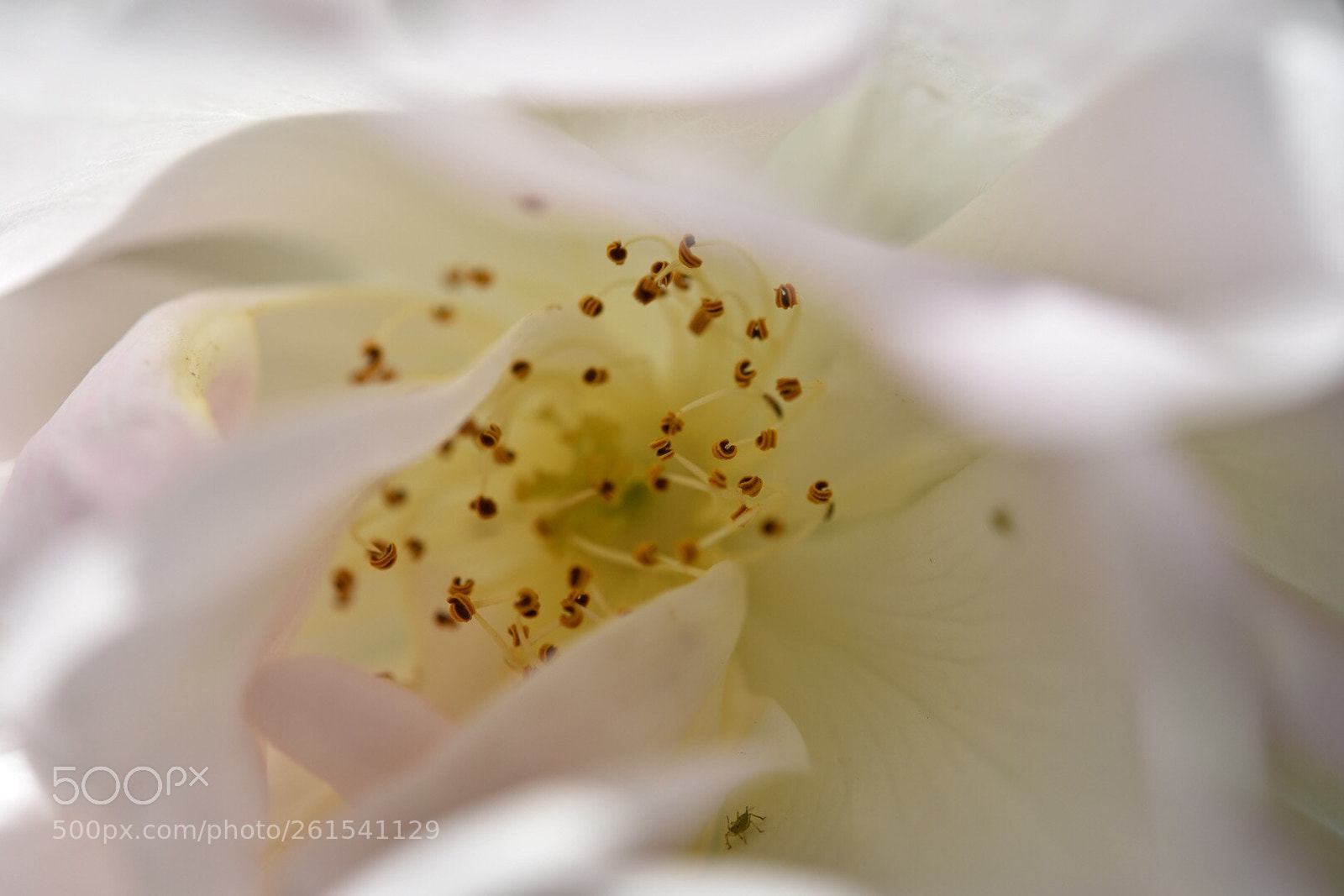 Nikon D750 sample photo. Untitled photography