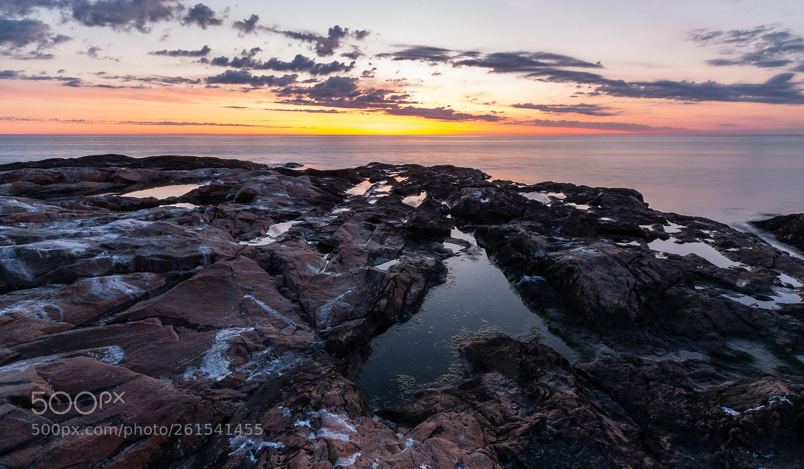 Canon EOS 40D sample photo. Tide pools and bird photography