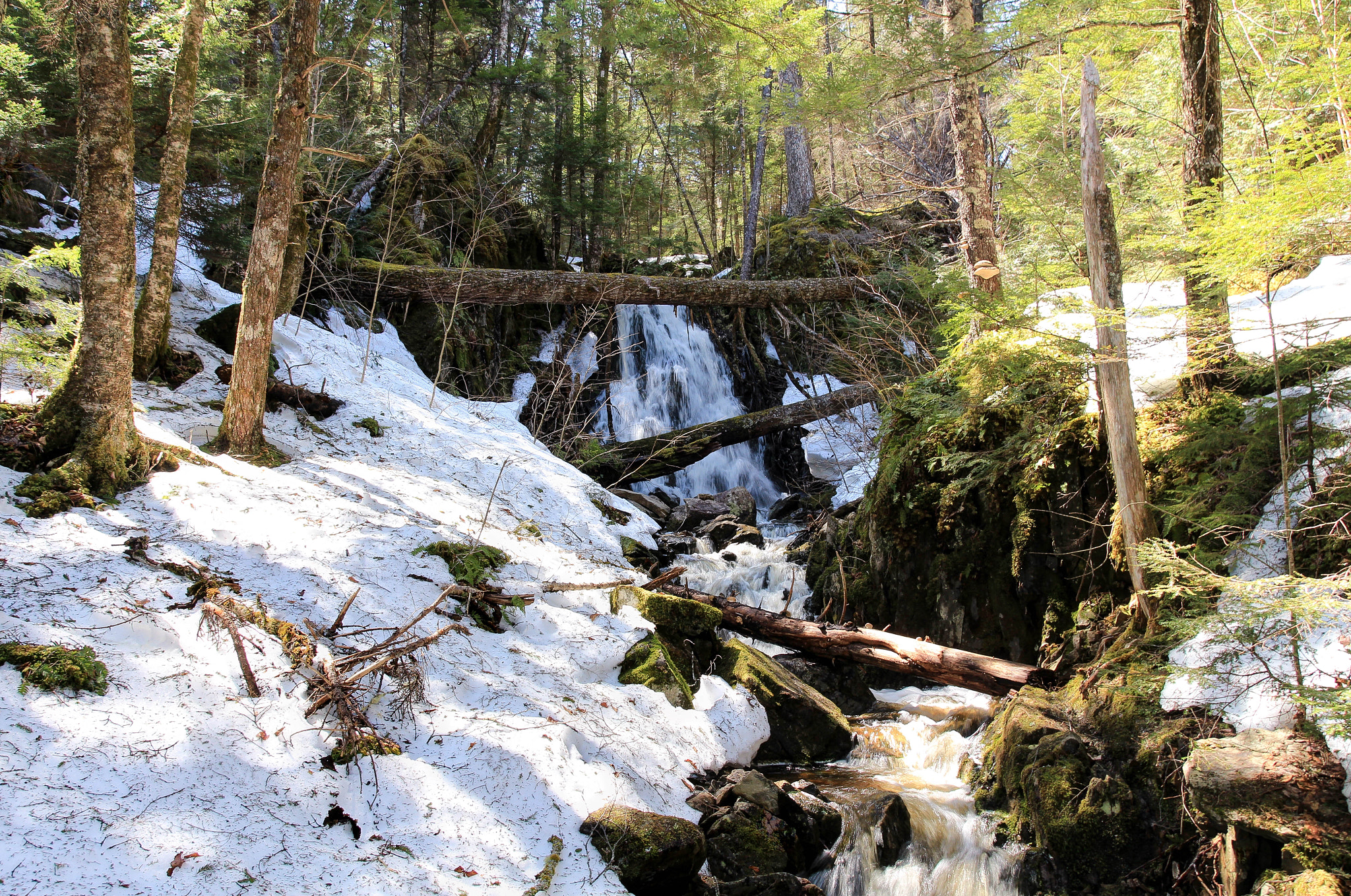 Canon EOS 650D (EOS Rebel T4i / EOS Kiss X6i) sample photo. Winter waterfall photography