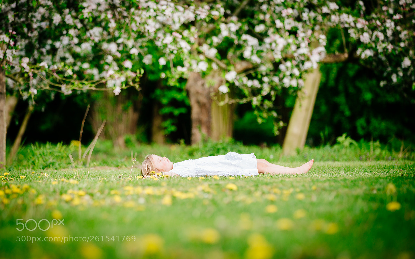 Canon EOS 6D sample photo. Untitled photography