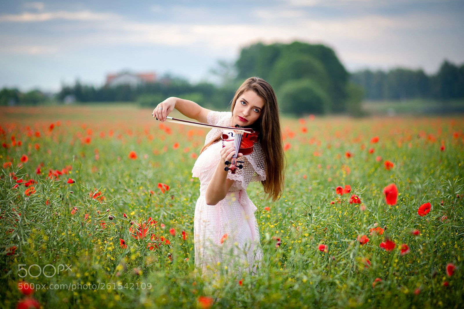 Canon EOS 6D Mark II sample photo. Catterin photography