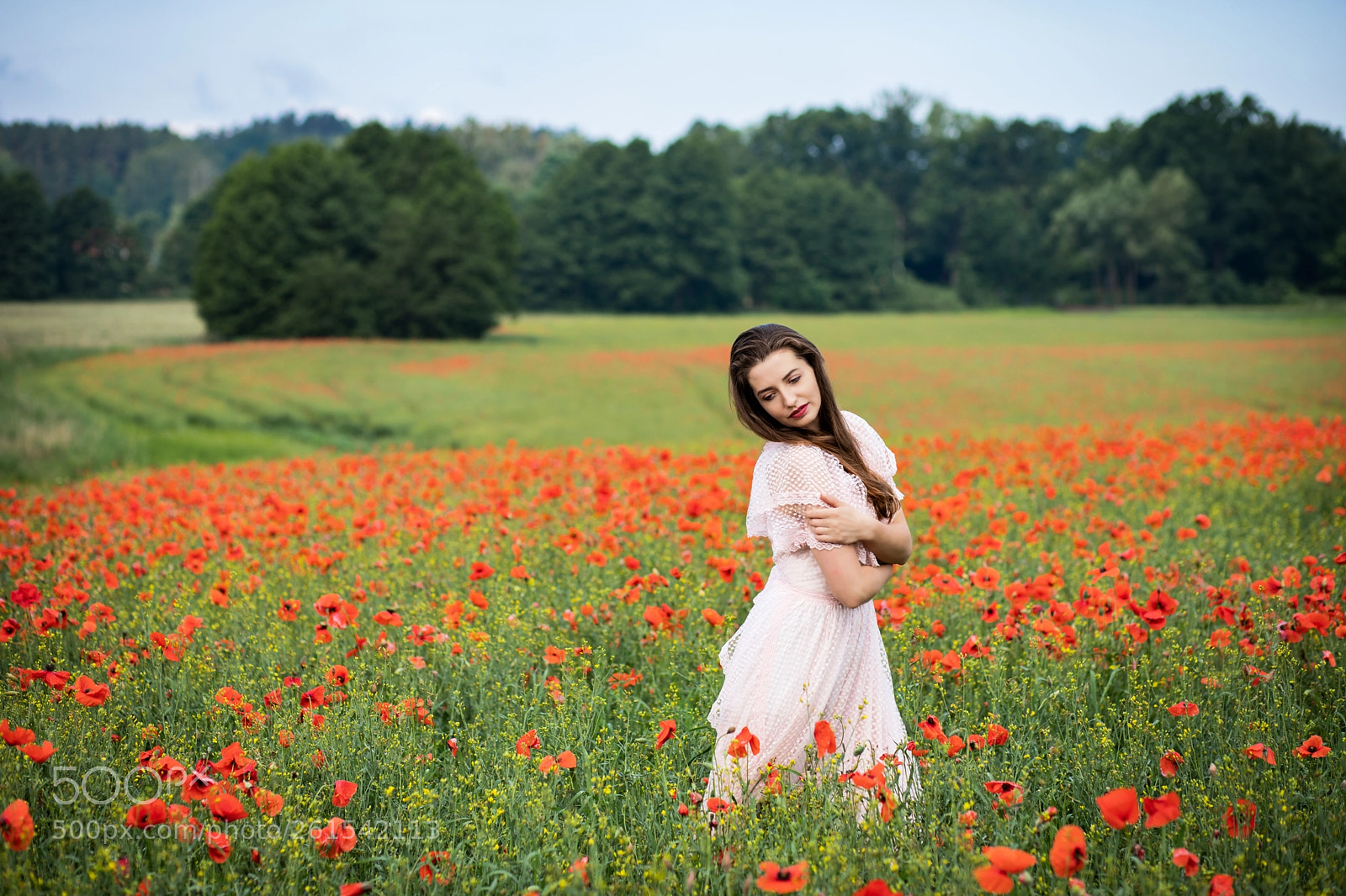 Canon EOS 6D Mark II sample photo. Catterin photography