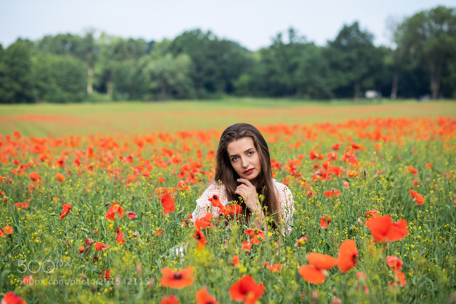 Canon EOS 6D Mark II sample photo. Catterin photography