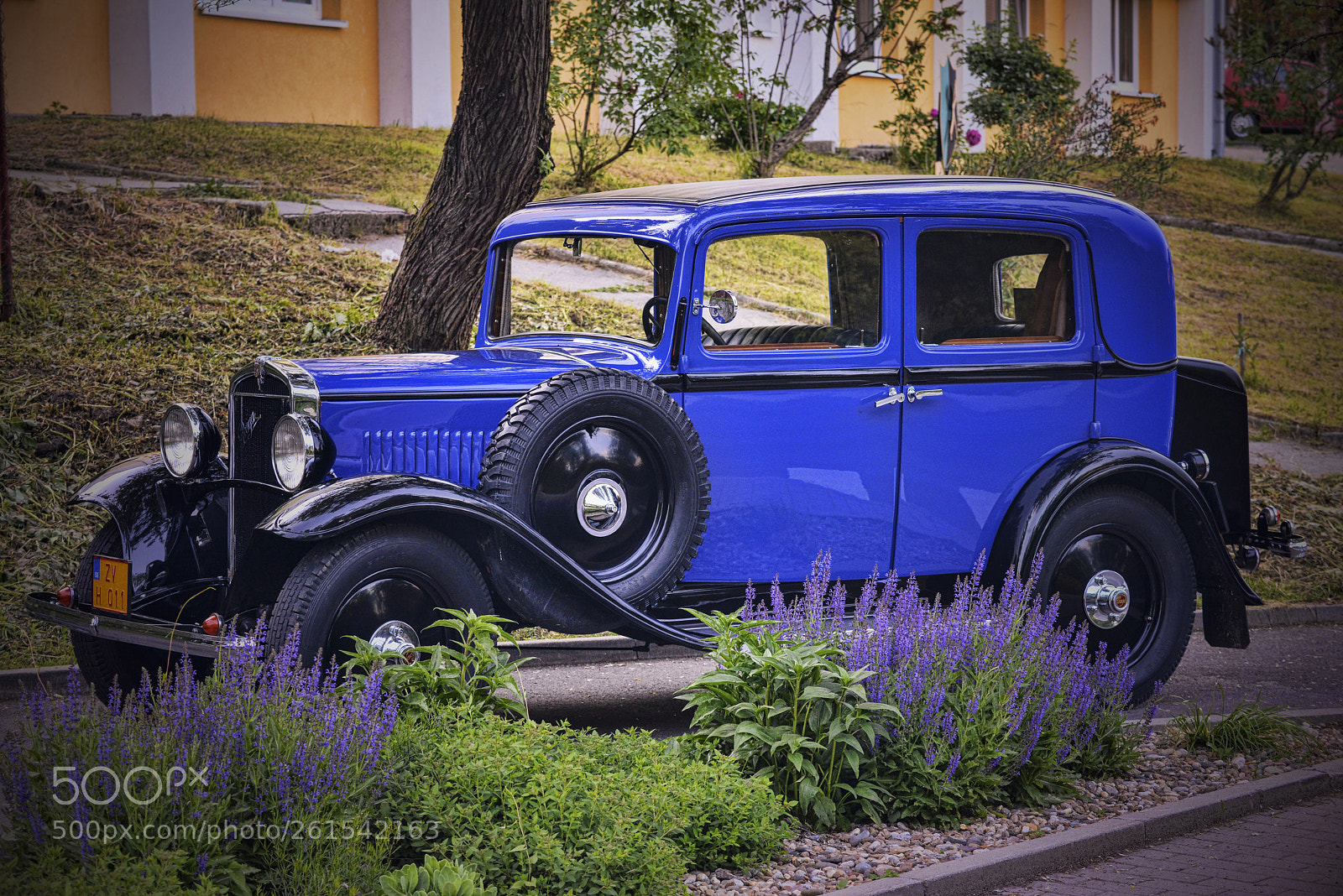 Nikon D800 sample photo. The blue horse ..of photography